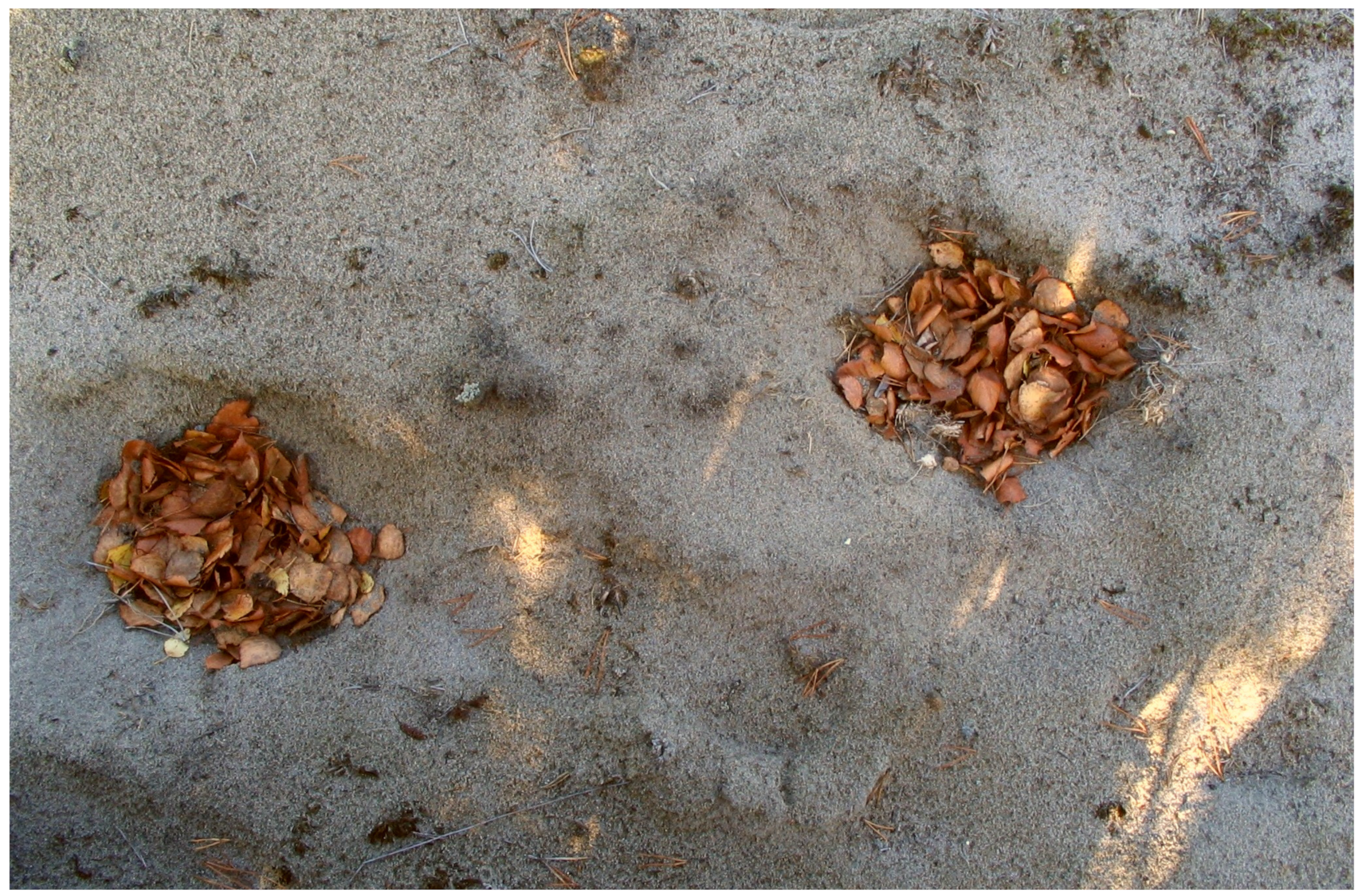 Land 10 00265 g007 Land 10 00265 g007