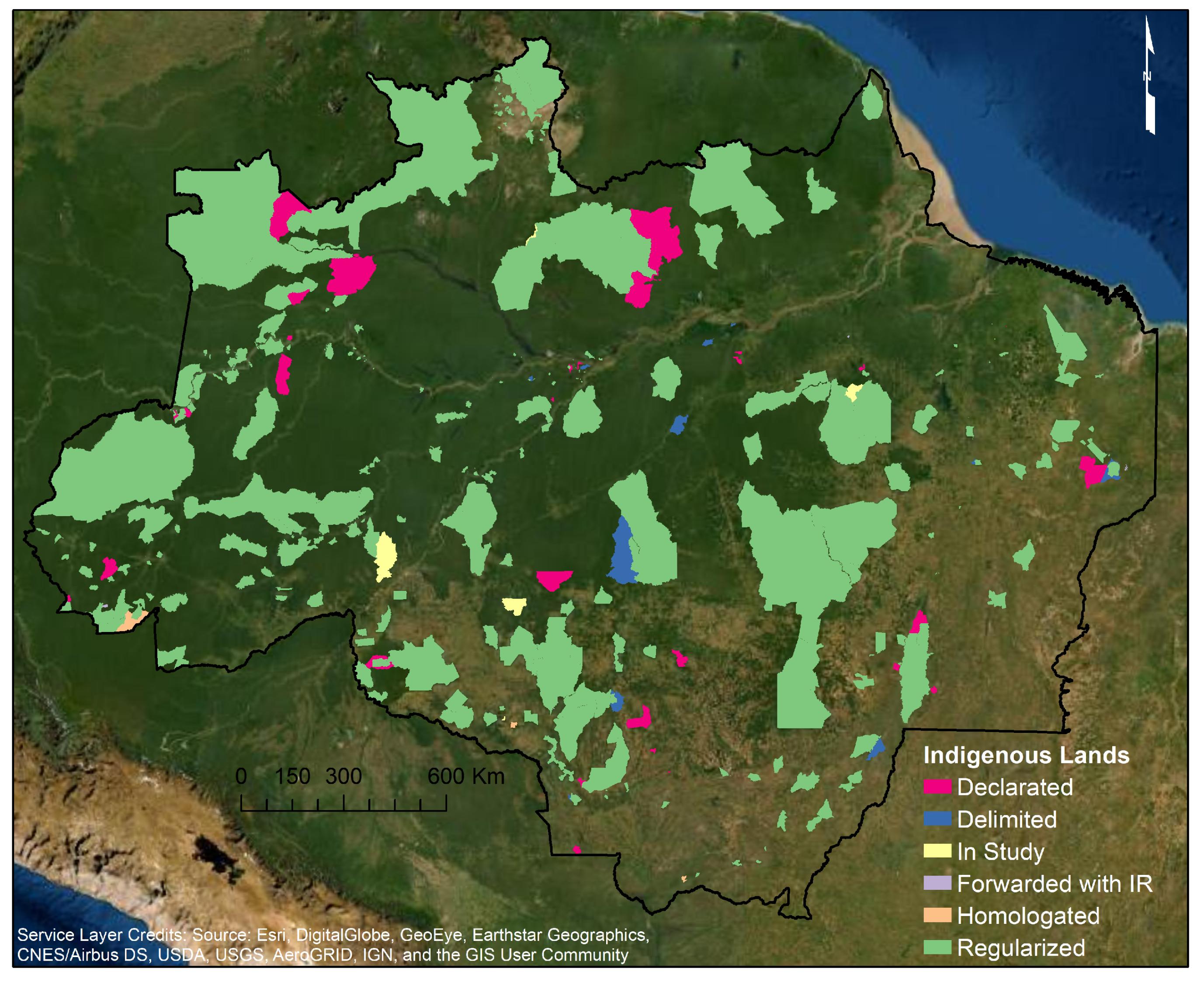 Rondônia,  Rainforest, Indigenous Tribes, Wild Fauna
