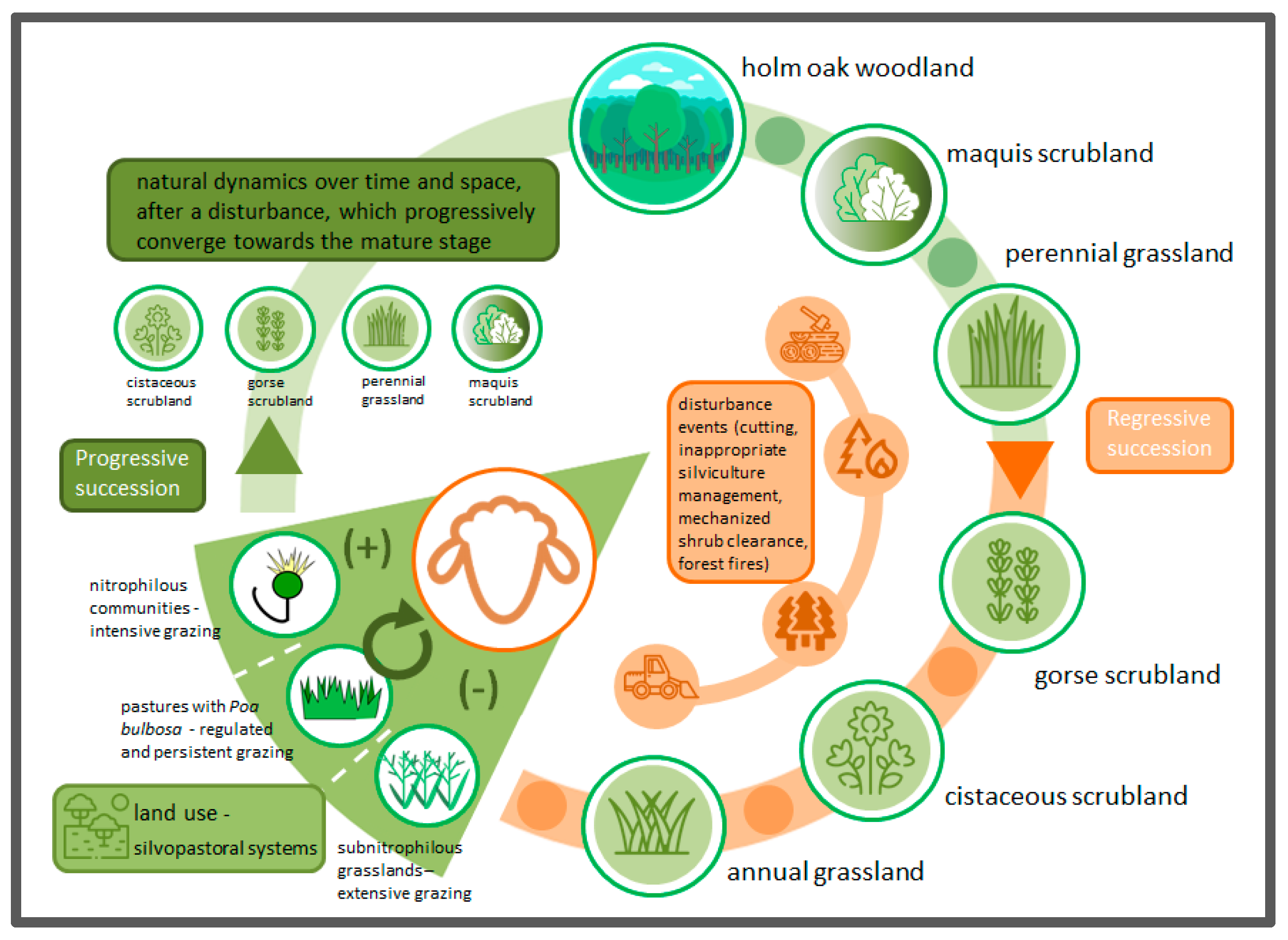 Land 10 00268 g003 Land 10 00268 g003