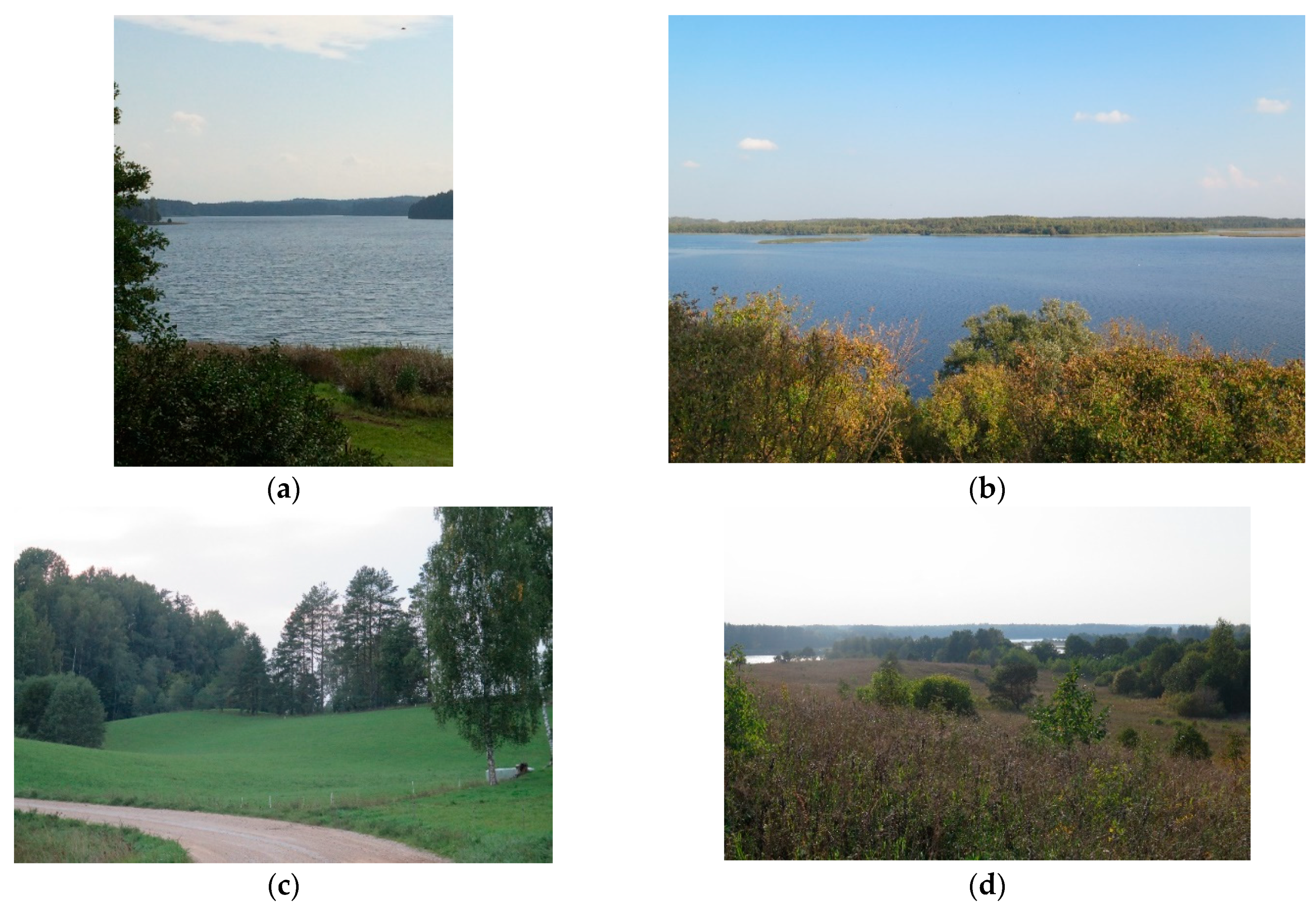 Land 10 00274 g002 Land 10 00274 g002