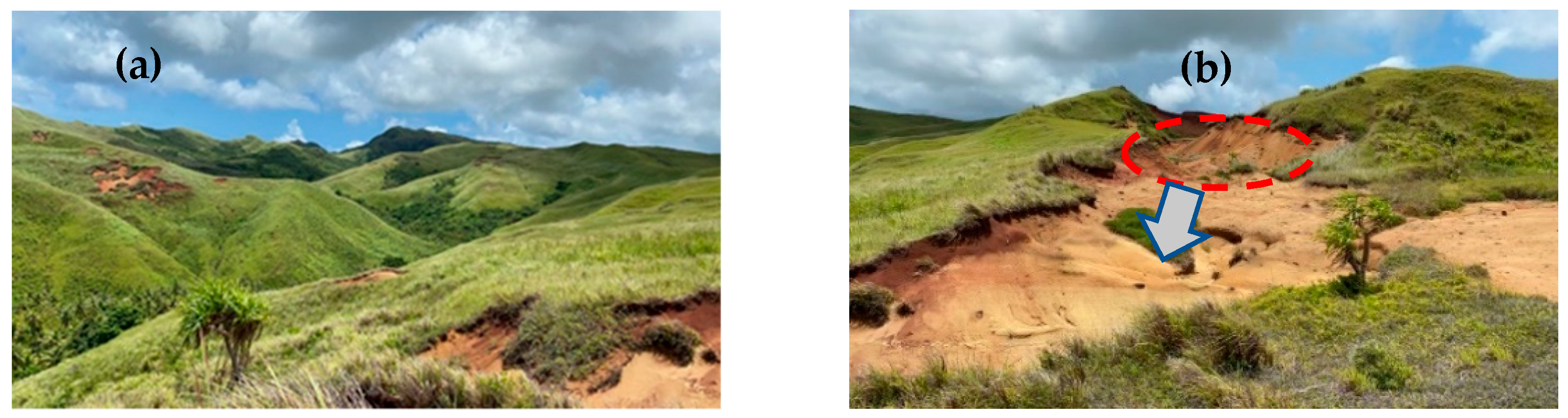 Land 10 00299 g001 Land 10 00299 g001