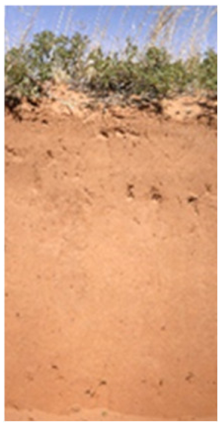 Land 10 00309 i001 Land 10 00309 i001