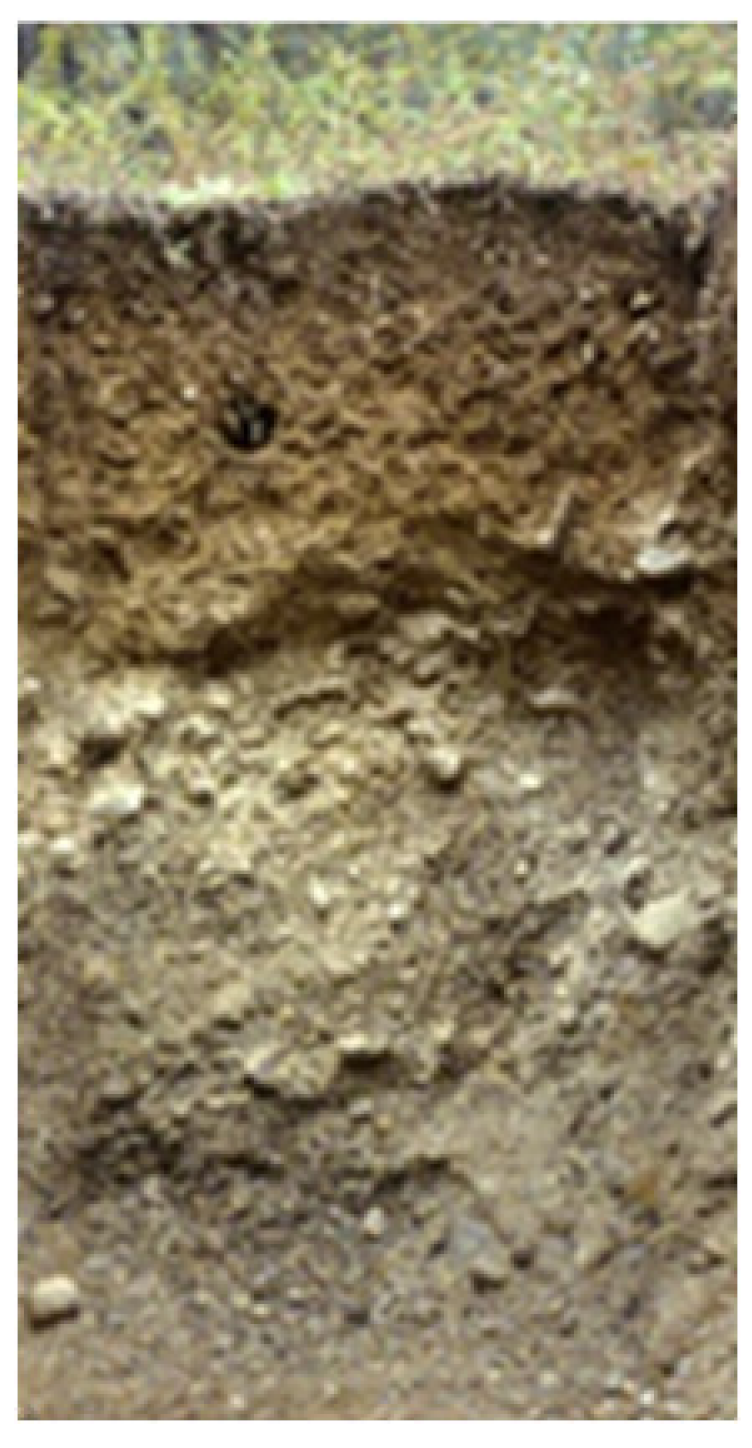 Land 10 00309 i002 Land 10 00309 i002