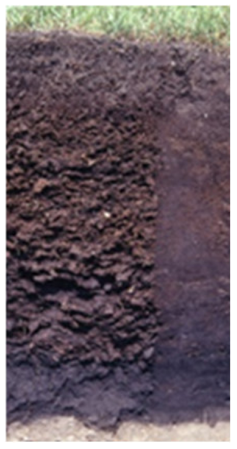 Land 10 00309 i003 Land 10 00309 i003