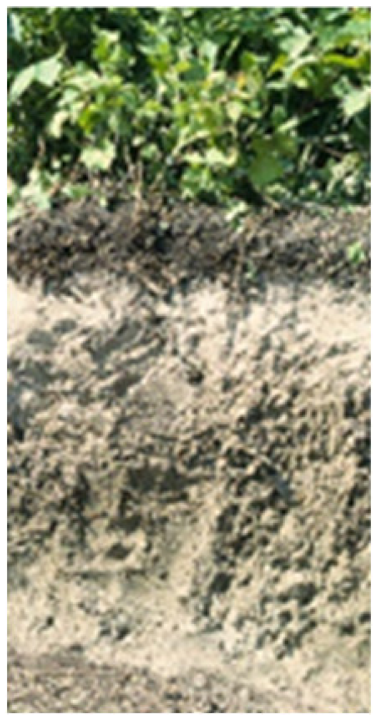 Land 10 00309 i004 Land 10 00309 i004