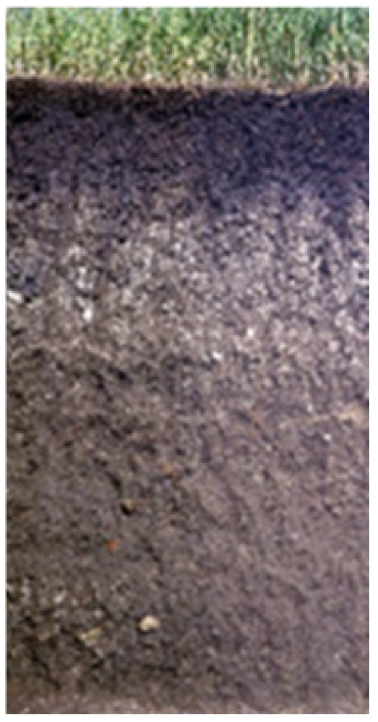 Land 10 00309 i005 Land 10 00309 i005