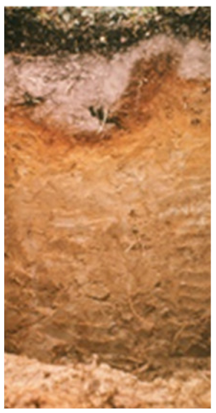 Land 10 00309 i006 Land 10 00309 i006