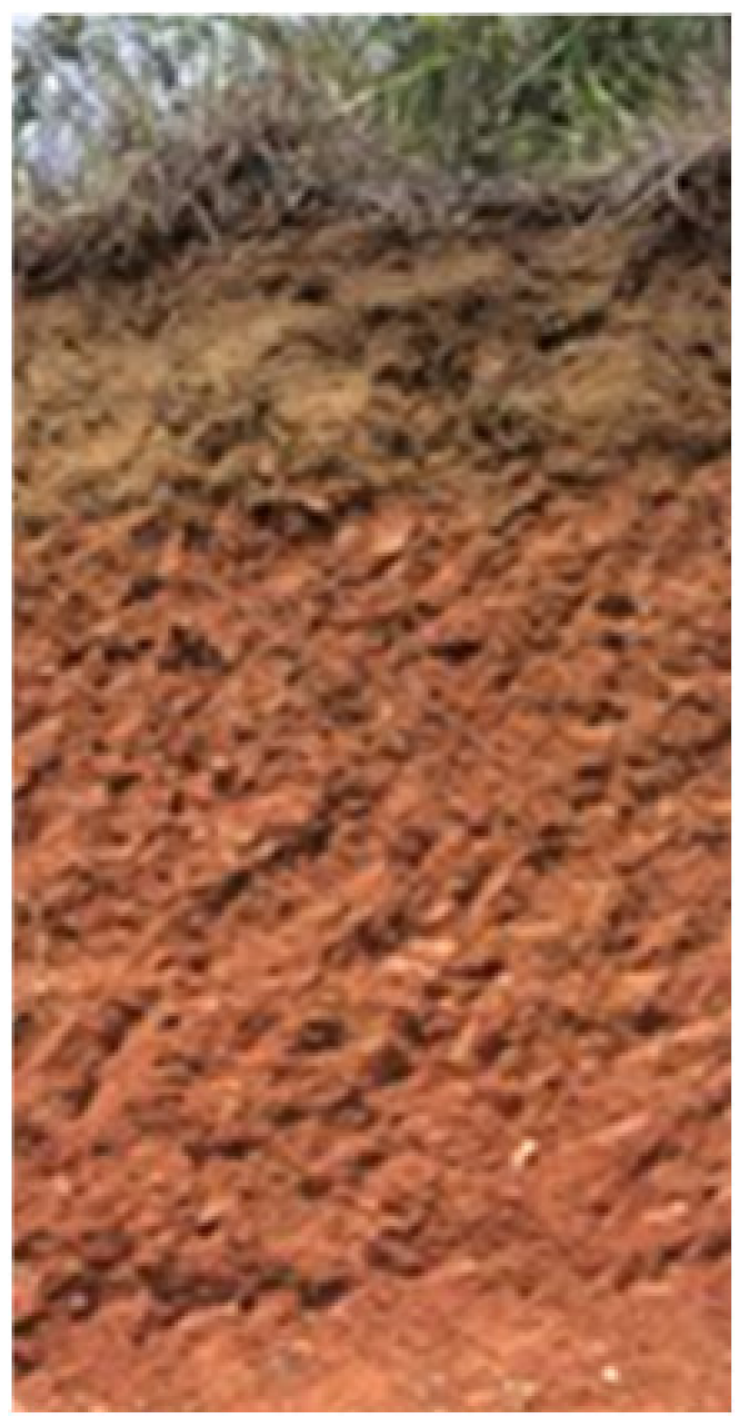 Land 10 00309 i007 Land 10 00309 i007