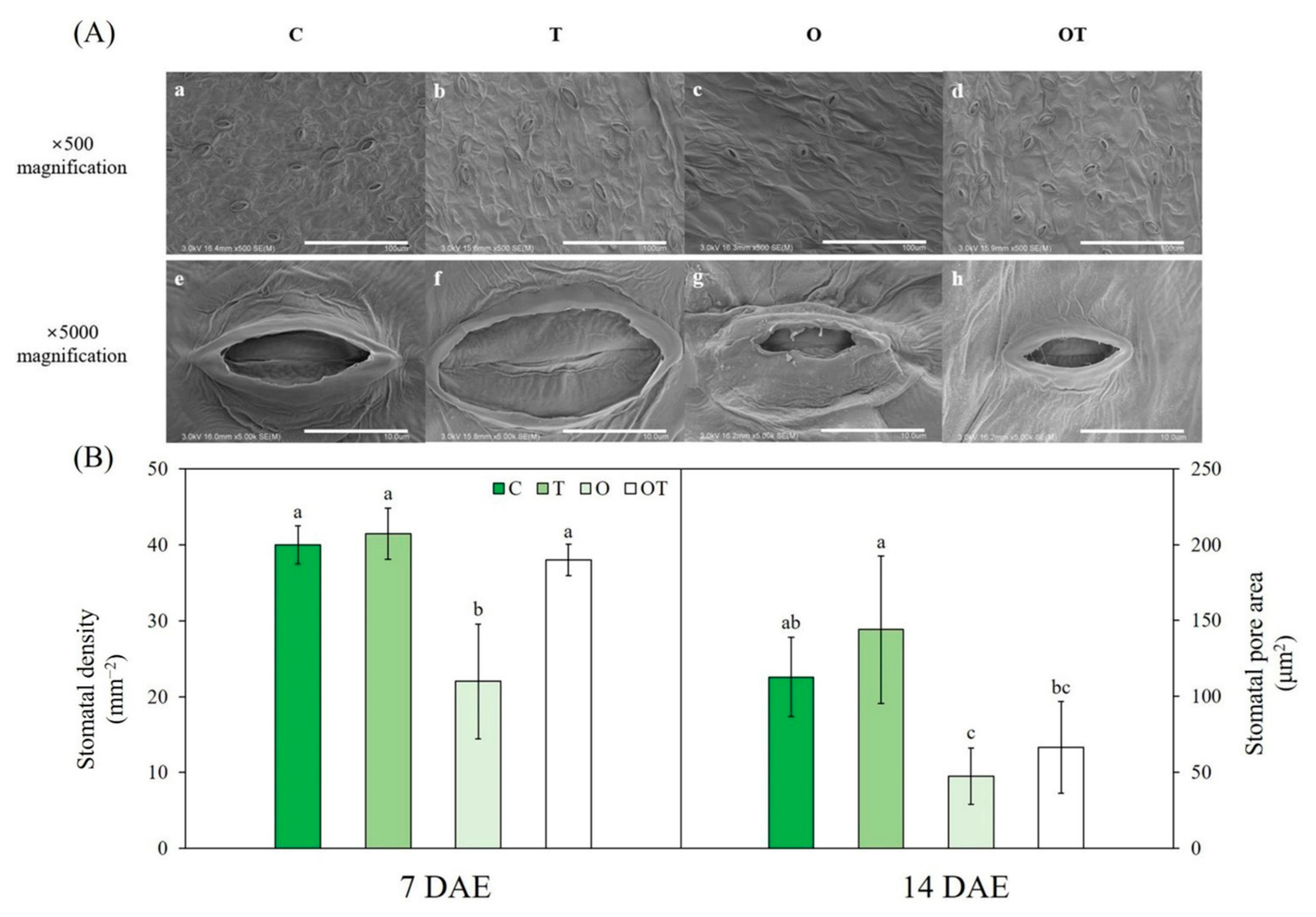 Land 10 00357 g007 Land 10 00357 g007