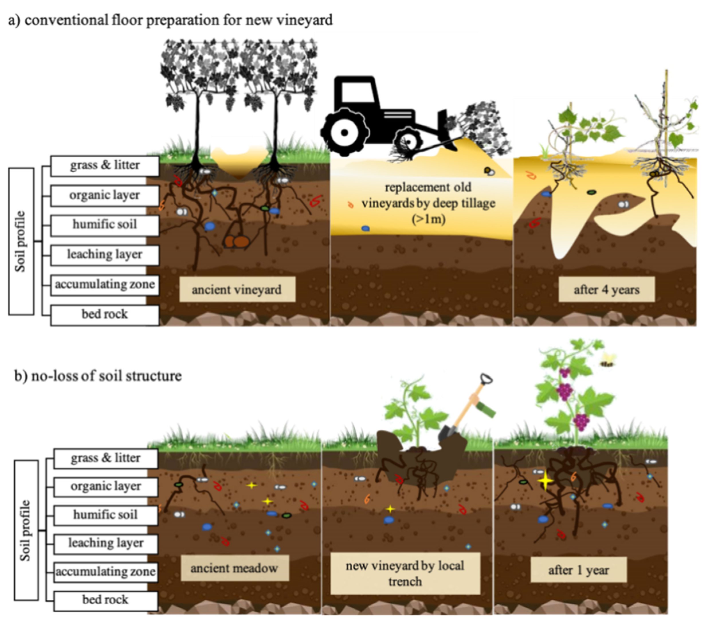 Land | Free Full-Text | Effects of Land-Use Change on Soil Functionality  and Biodiversity: Toward Sustainable Planning of New Vineyards | HTML