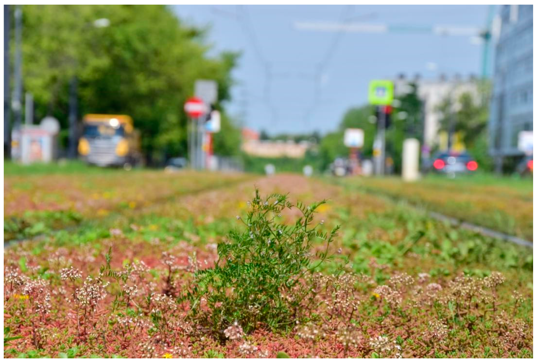 Land 10 00375 g013 Land 10 00375 g013