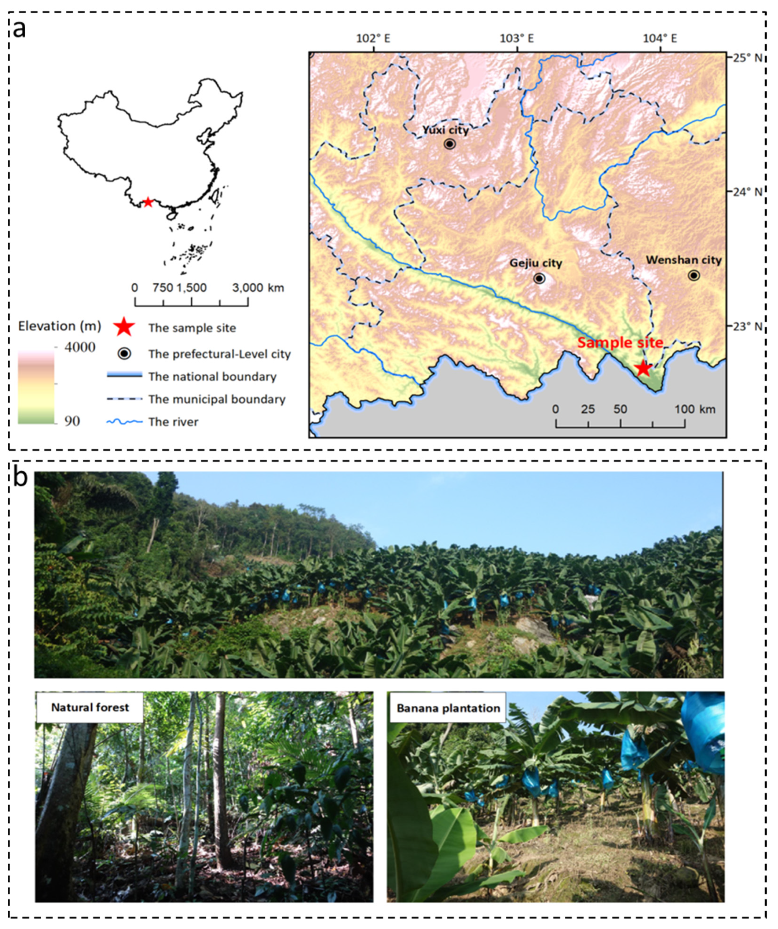 Land 10 00376 g001 Land 10 00376 g001