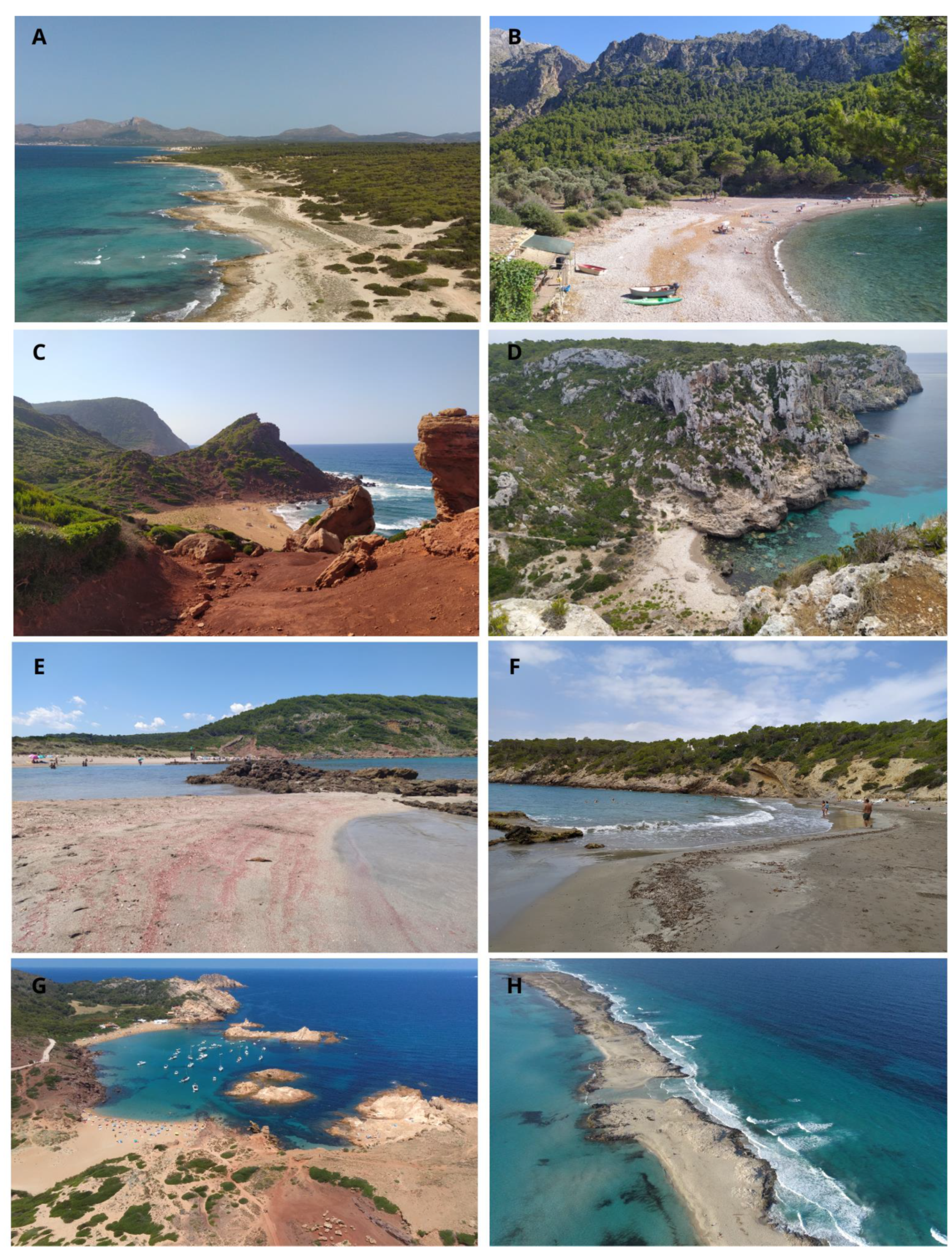 Land | Free Full-Text | Coastal Scenic Beauty and Sensitivity at the  Balearic Islands, Spain: Implication of Natural and Human Factors