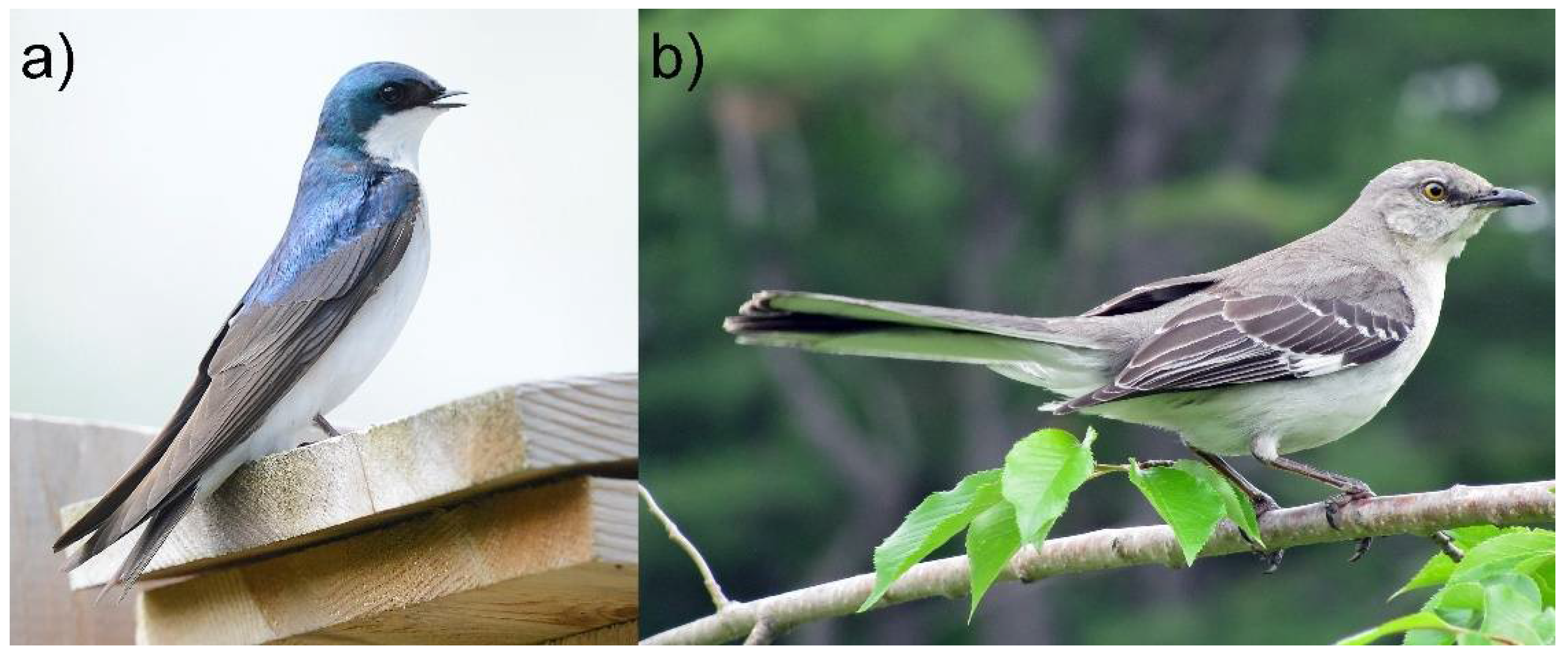 Land 10 00487 g004 Land 10 00487 g004