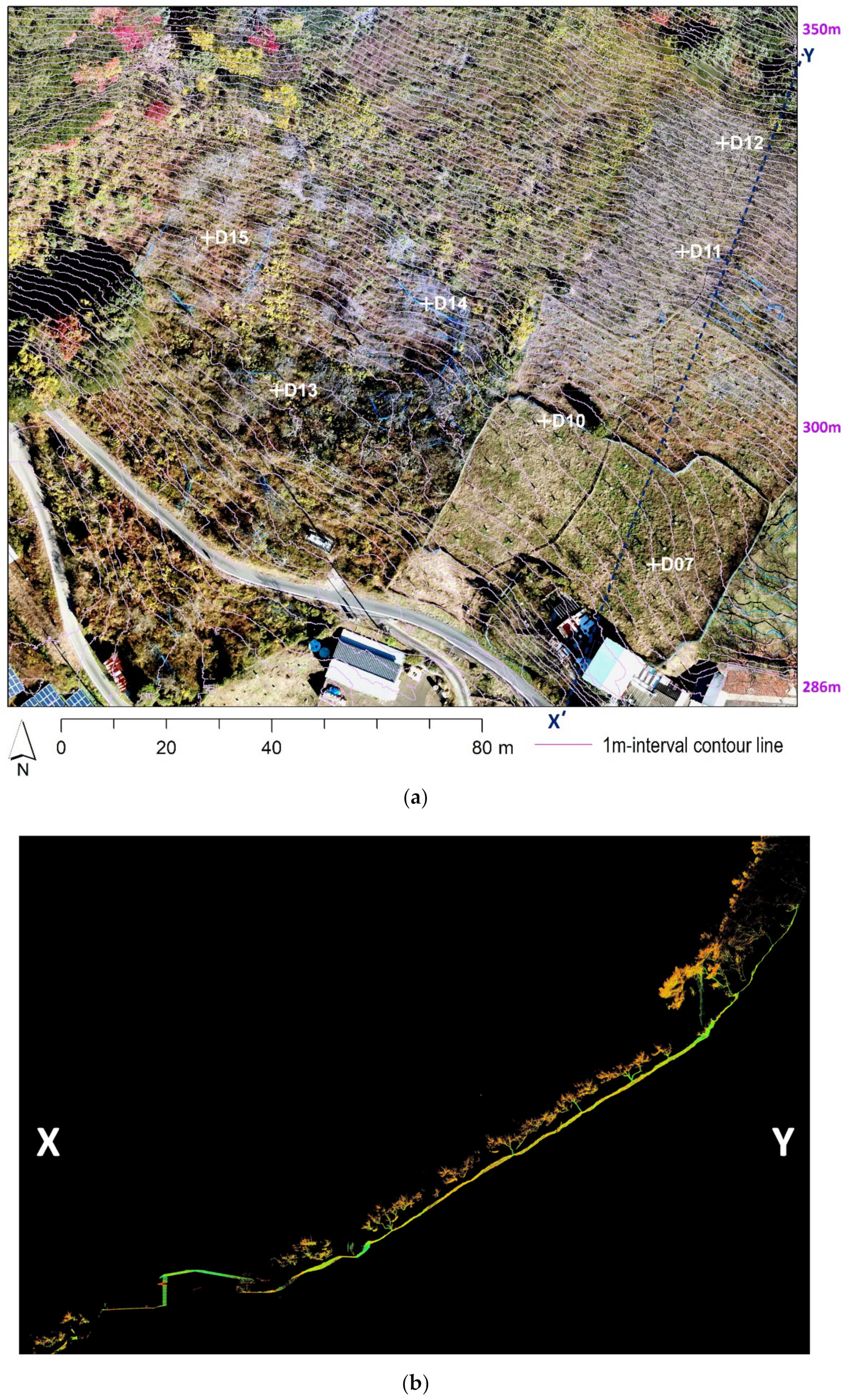 Land 10 00559 g005