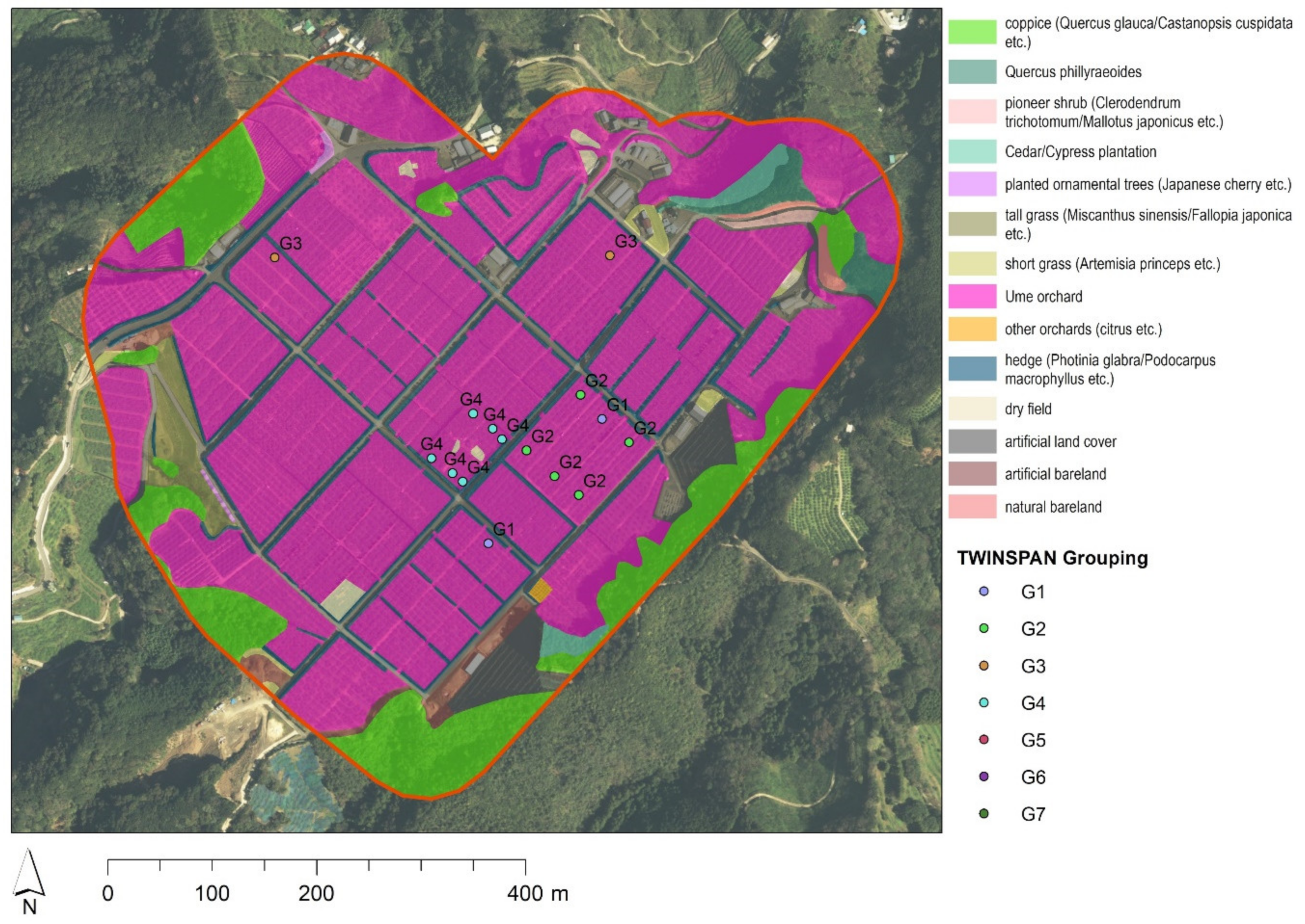 Land 10 00559 g009