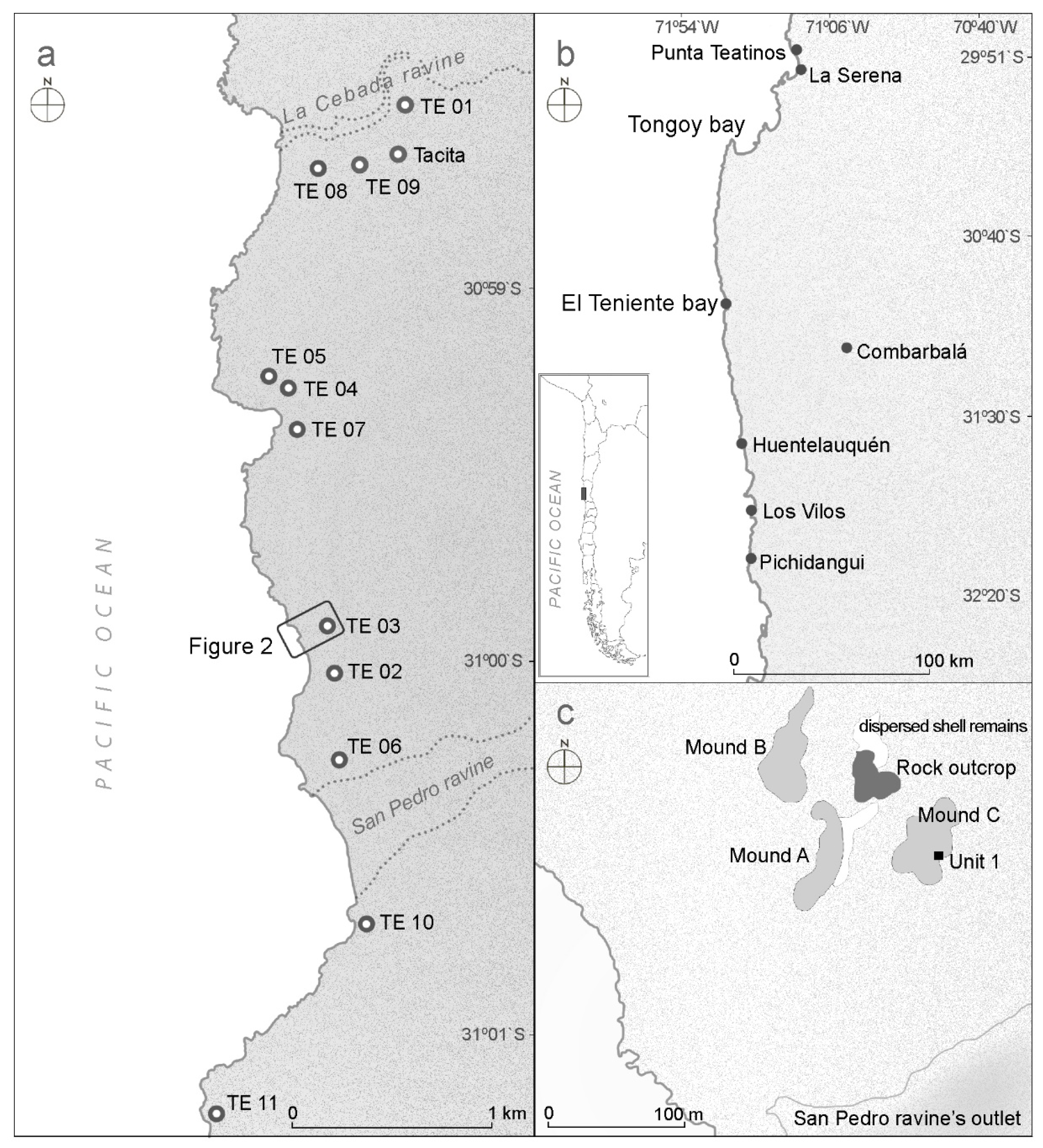 Bone 1, PDF, Ciência militar