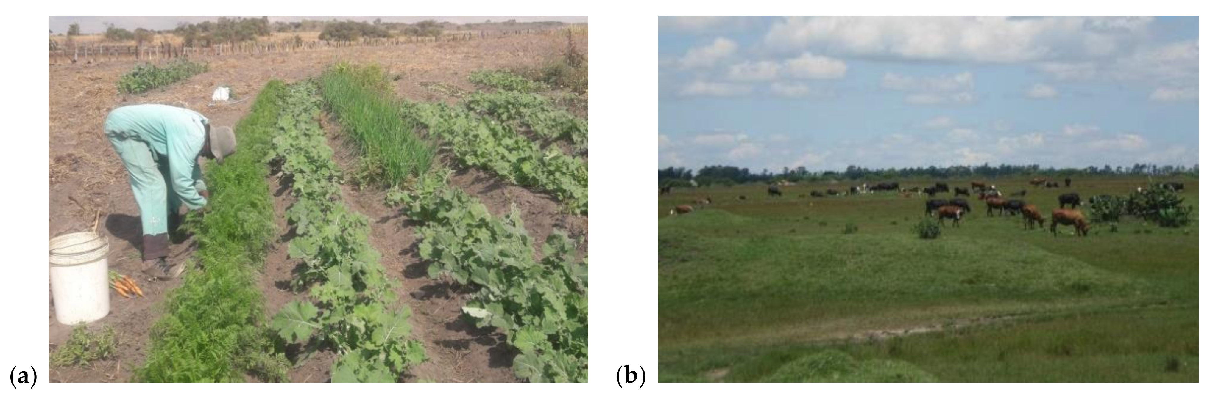 Land 10 00587 g004 Land 10 00587 g004