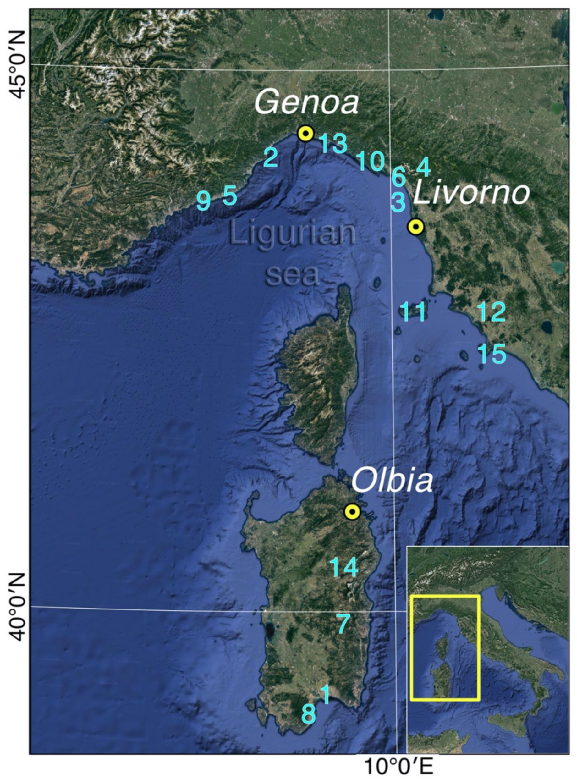 Land 10 00620 g001 Land 10 00620 g001