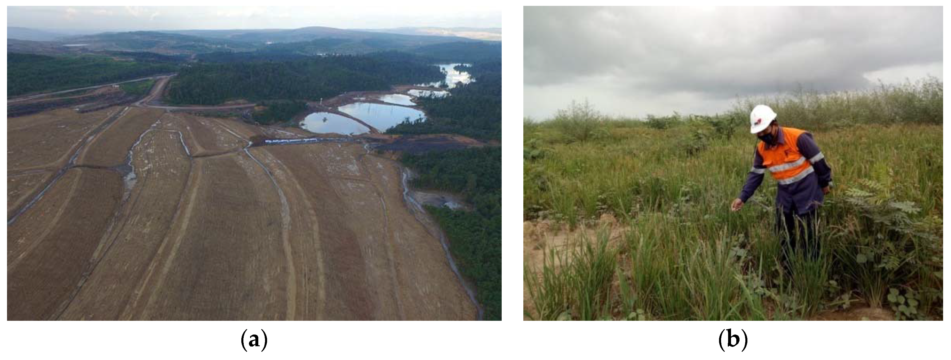 Land 10 00658 g004 Land 10 00658 g004