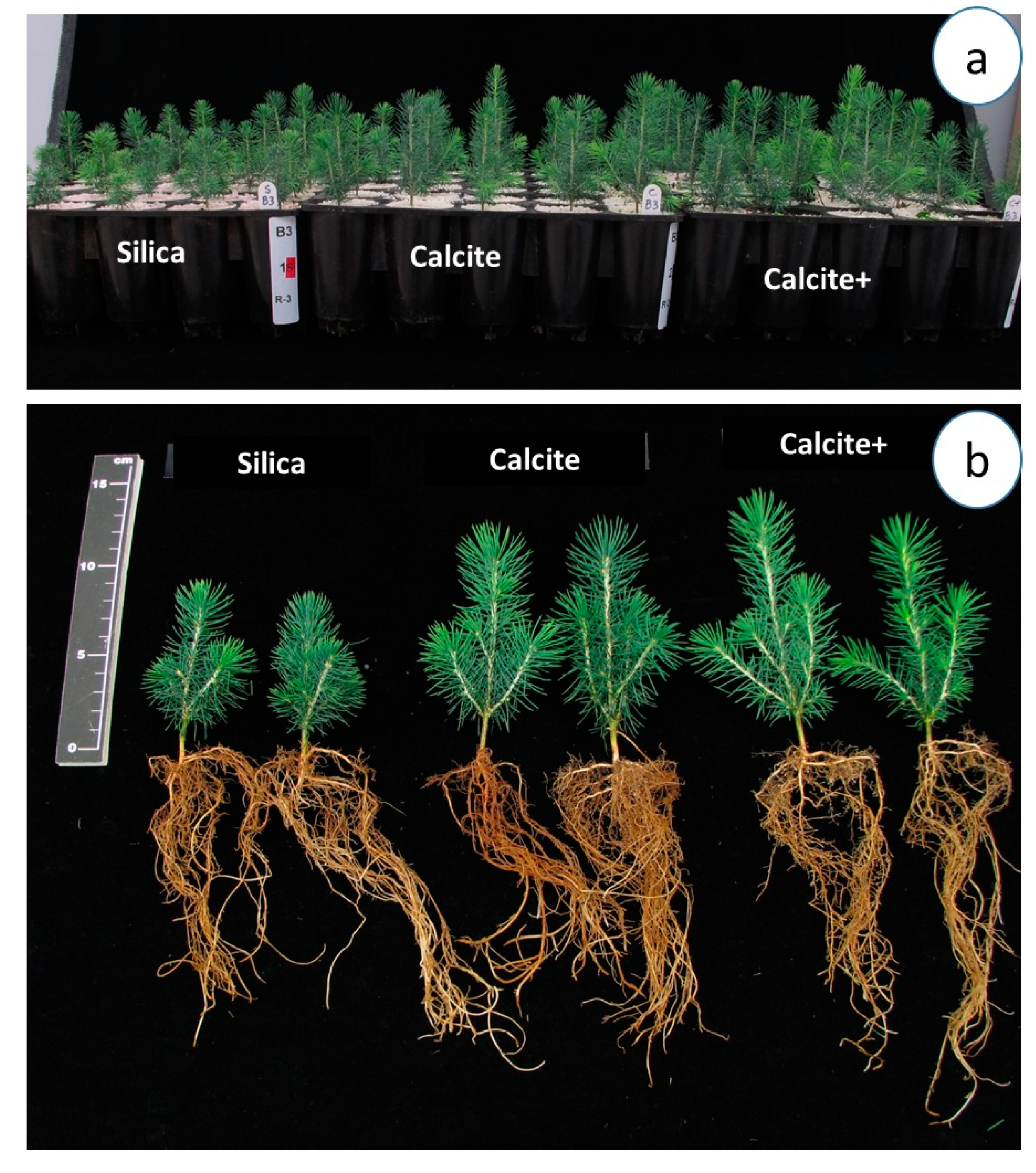 Land 10 00661 g009 Land 10 00661 g009