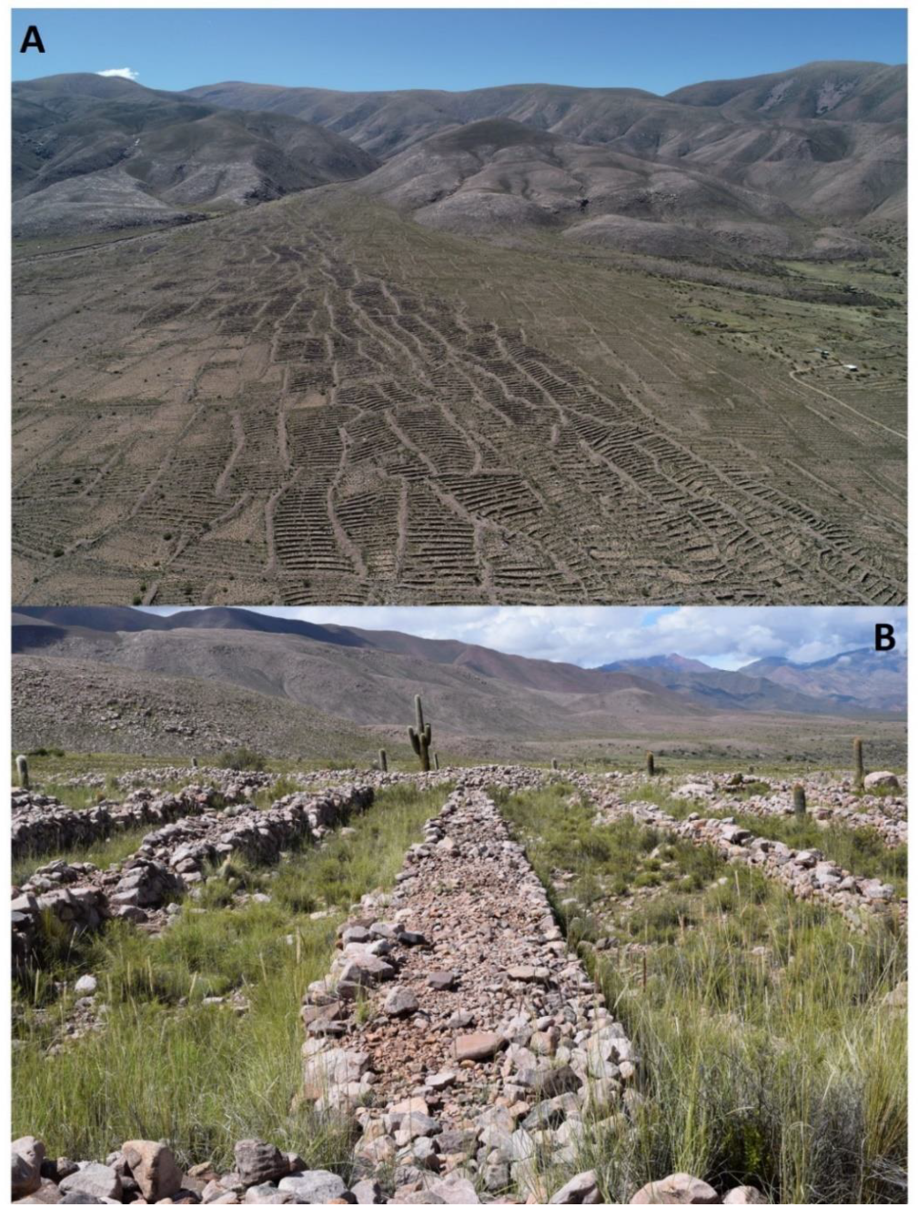 Land 10 00687 g006 550