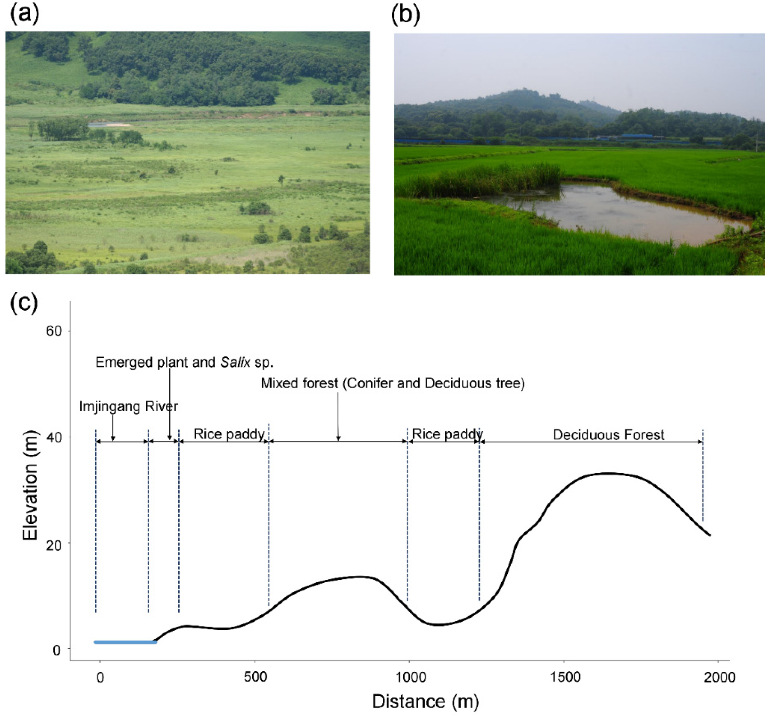 Land 10 00708 g002 Land 10 00708 g002