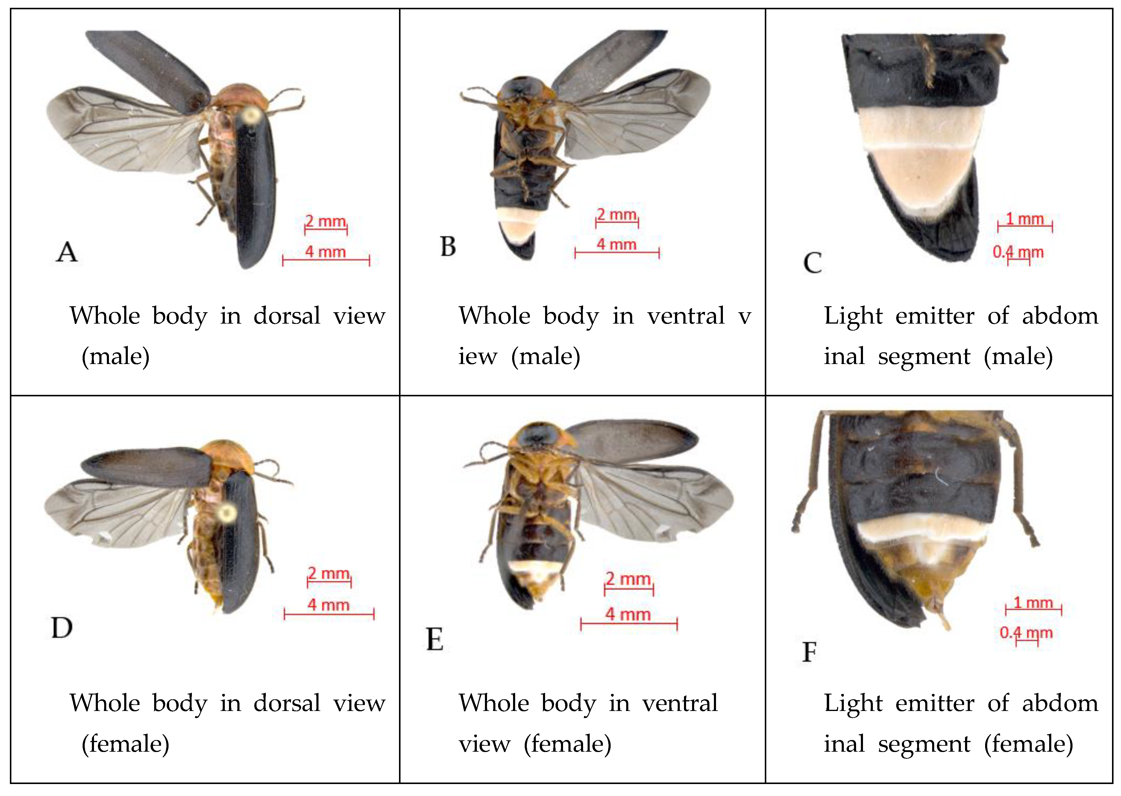 Land 10 00730 g002 550
