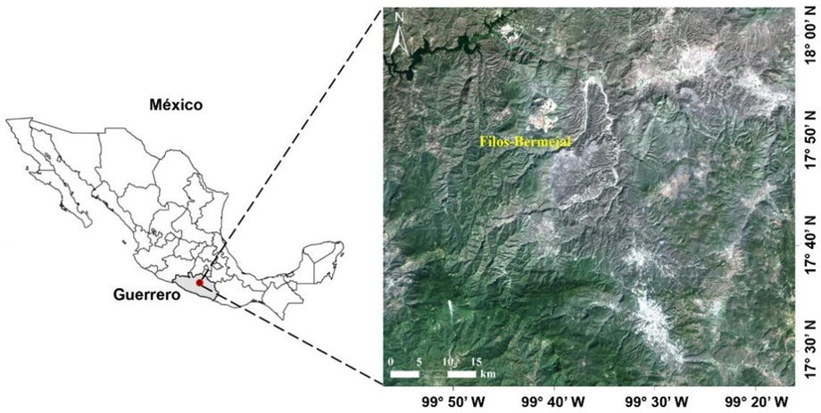 920px x 463px - Land | Free Full-Text | An Alternative Method for the Generation of  Consistent Mapping to Monitoring Land Cover Change: A Case Study of  Guerrero State in Mexico