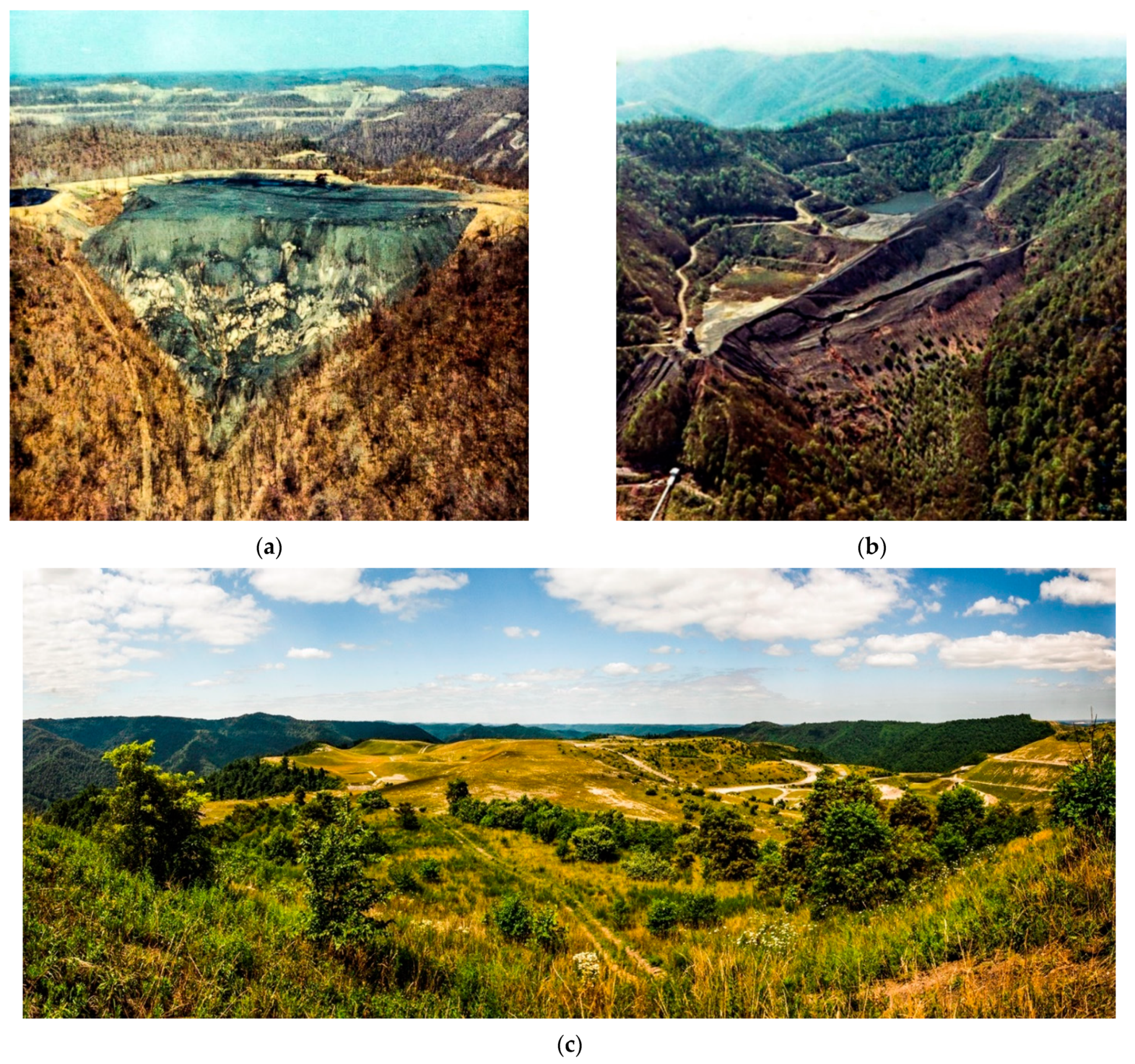 Land 10 00748 g001 550