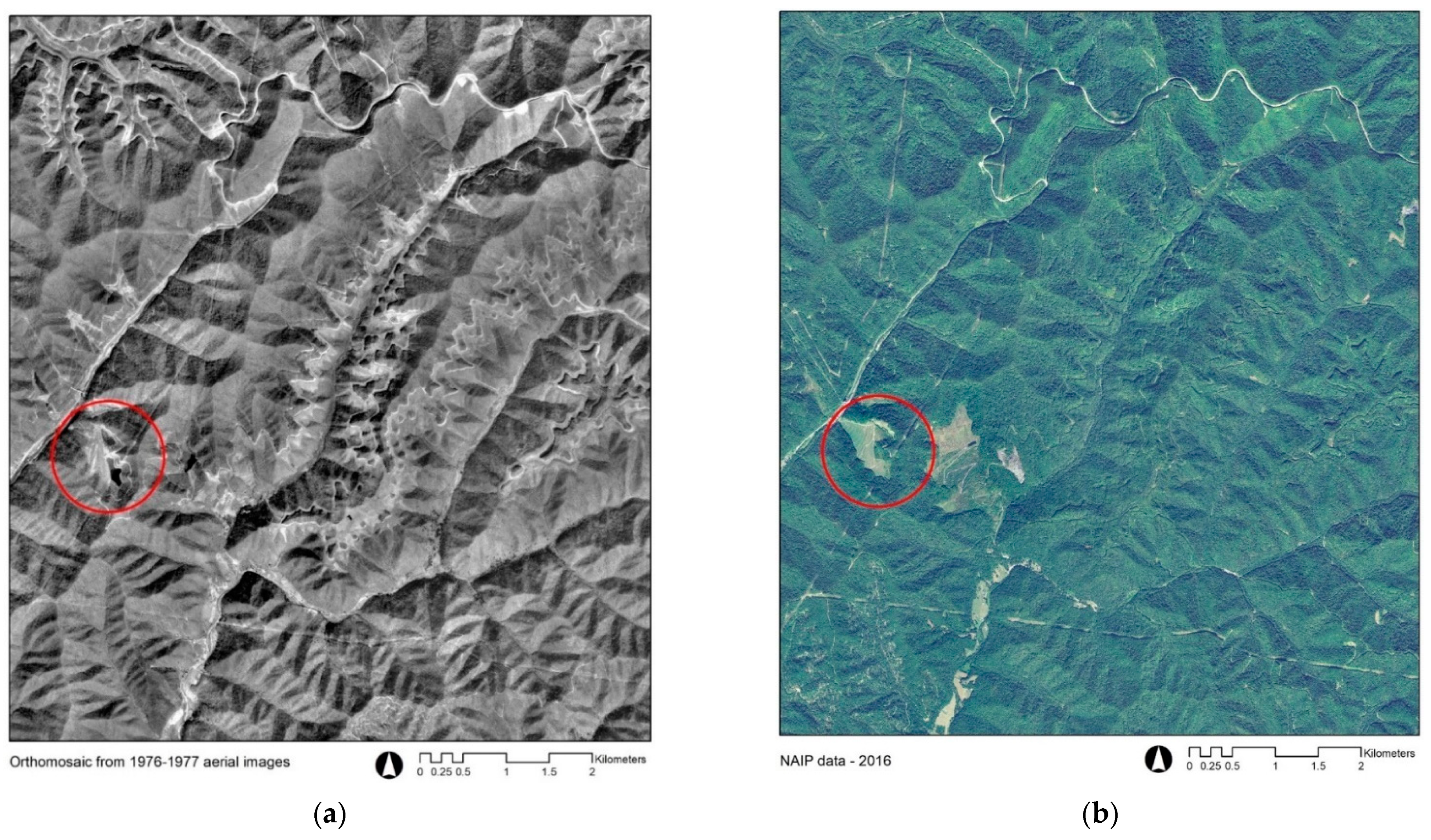 Land 10 00748 g002 550