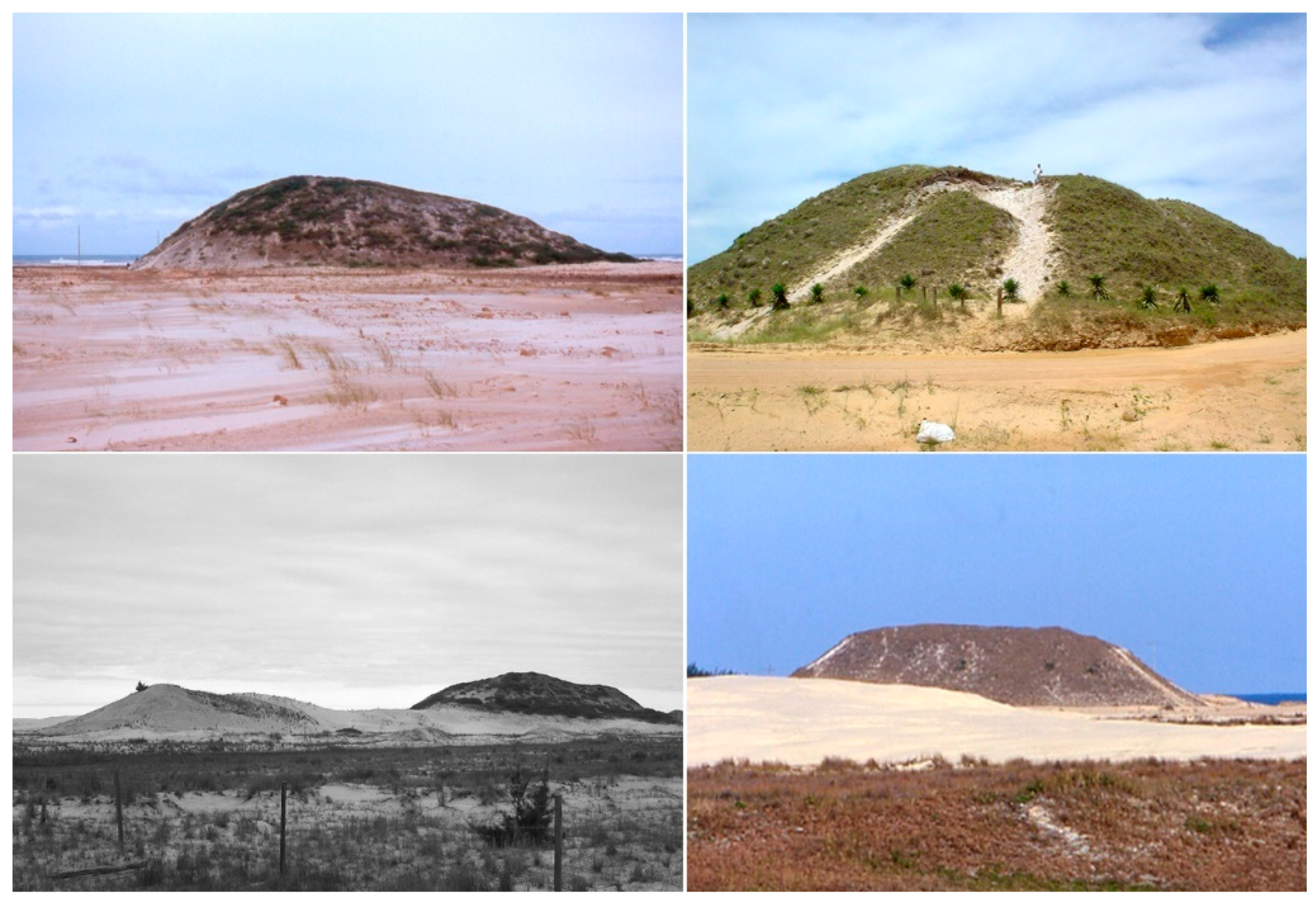 Land 10 00757 g001 Land 10 00757 g001