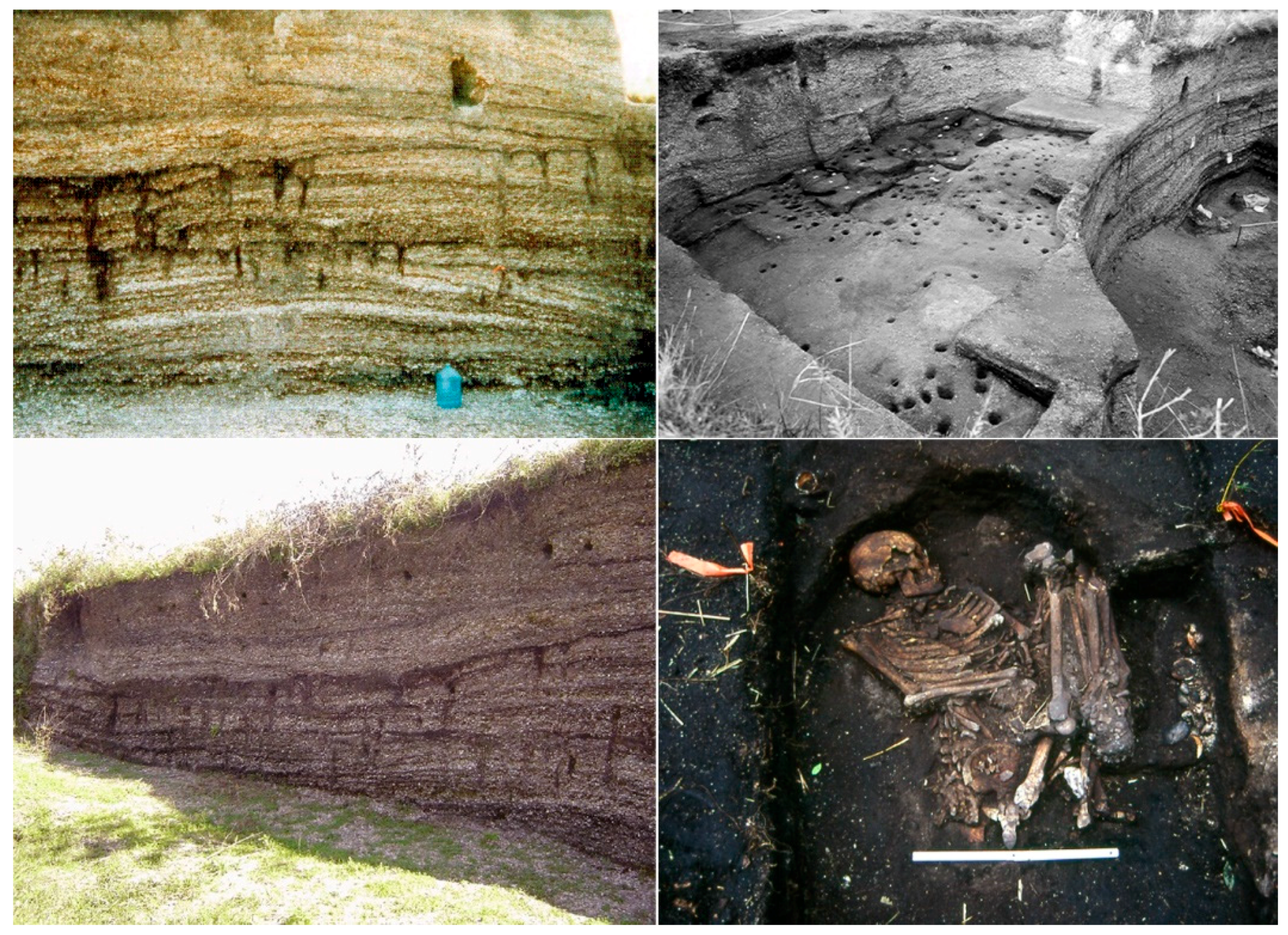 Land 10 00757 g004 Land 10 00757 g004