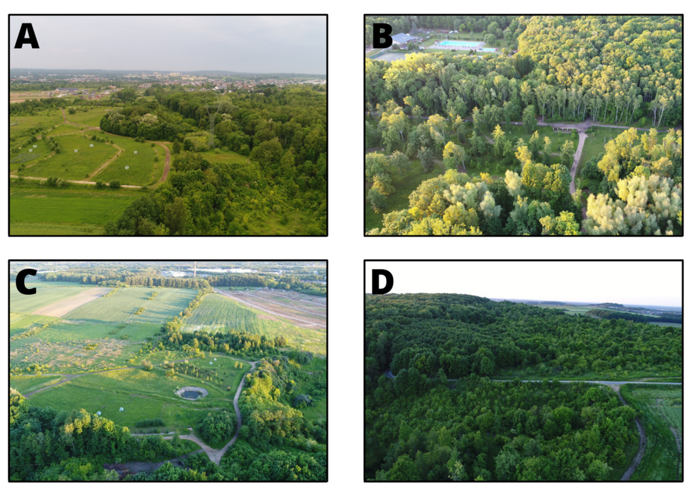 Land 10 00761 g005 550