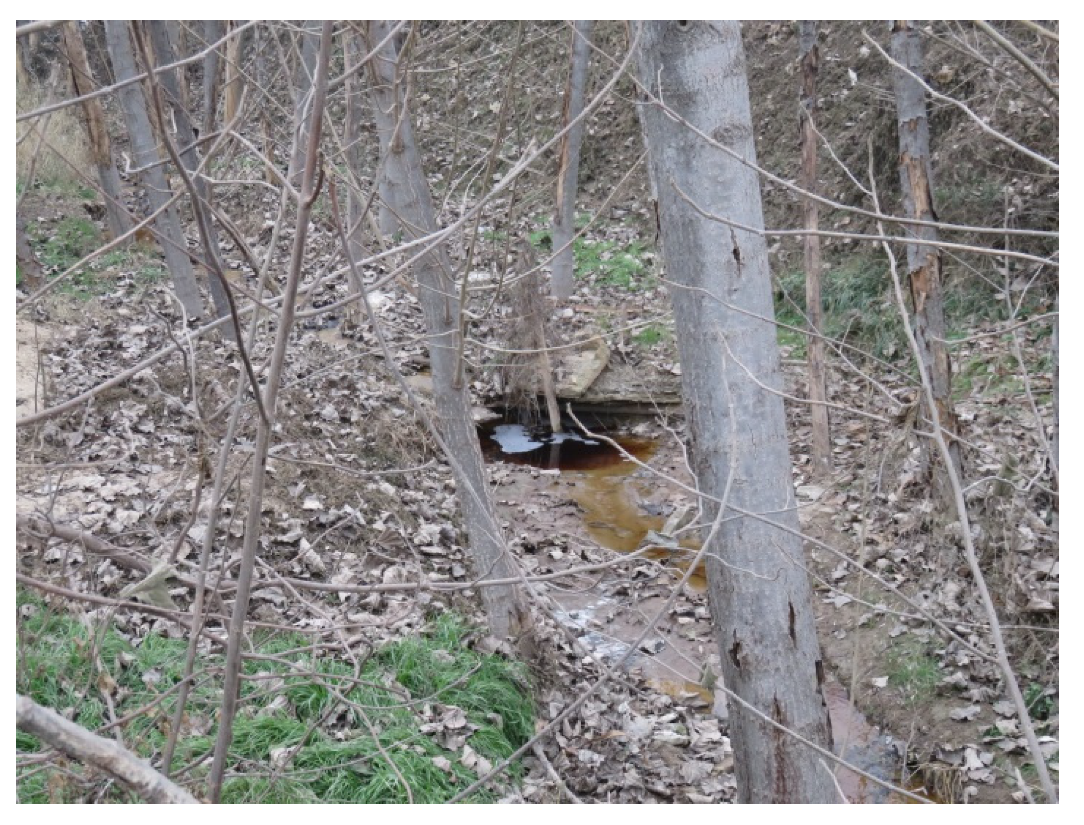 Land 10 00762 g008 550