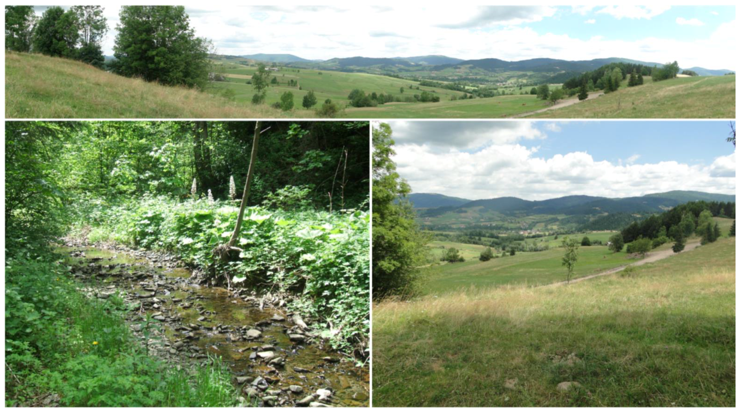 Land 10 00766 g002 Land 10 00766 g002