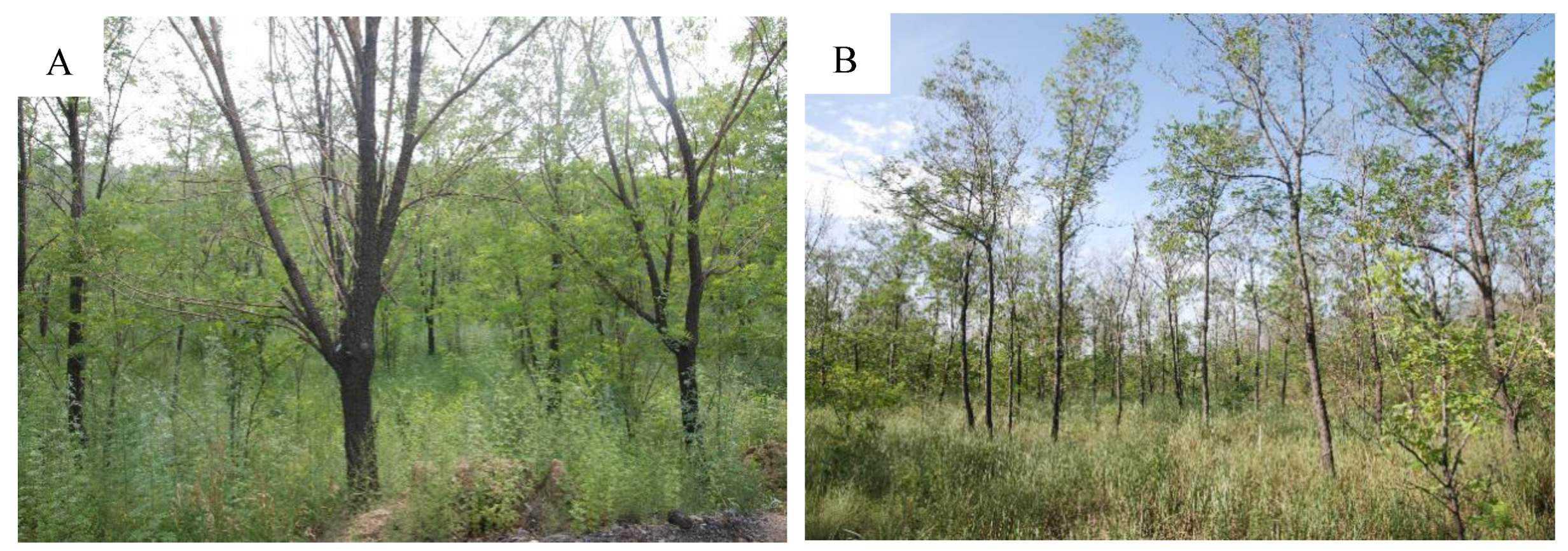 Land 10 00785 g002 550