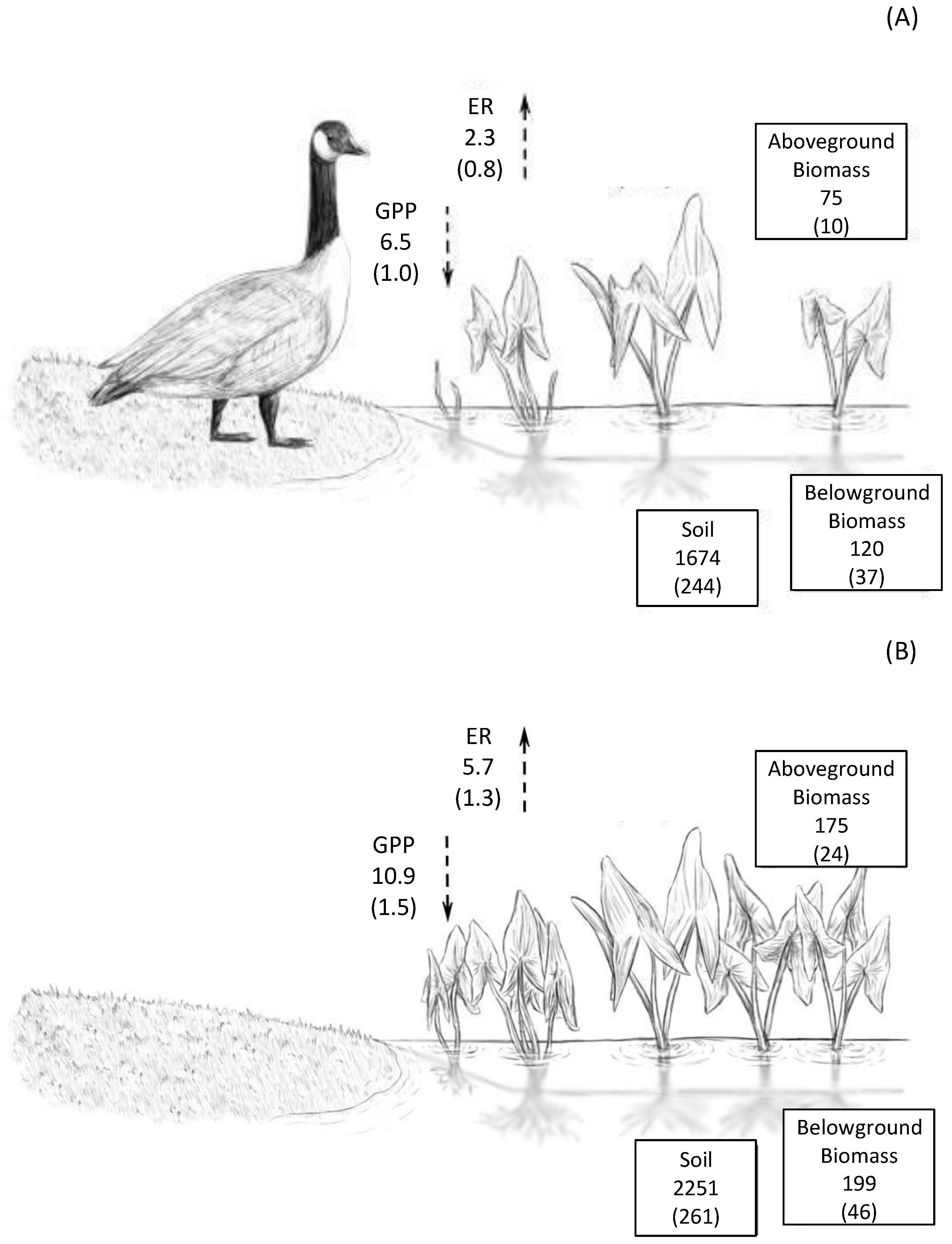 Land 10 00805 g006 Land 10 00805 g006