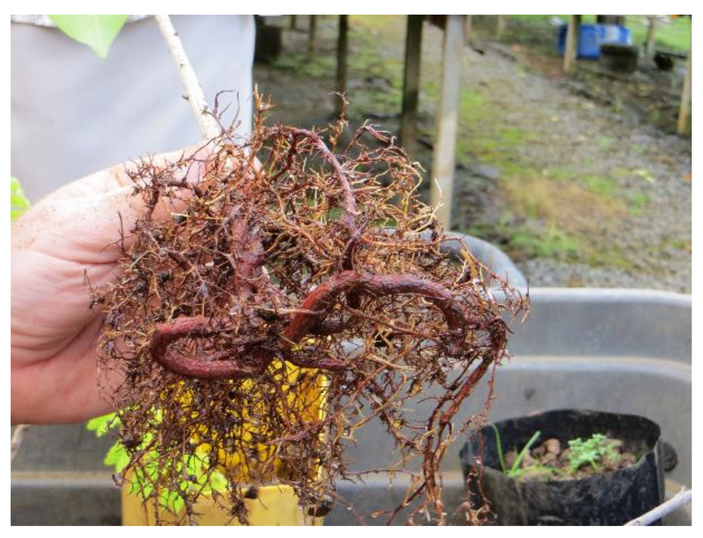 Land 10 00826 g001 Land 10 00826 g001