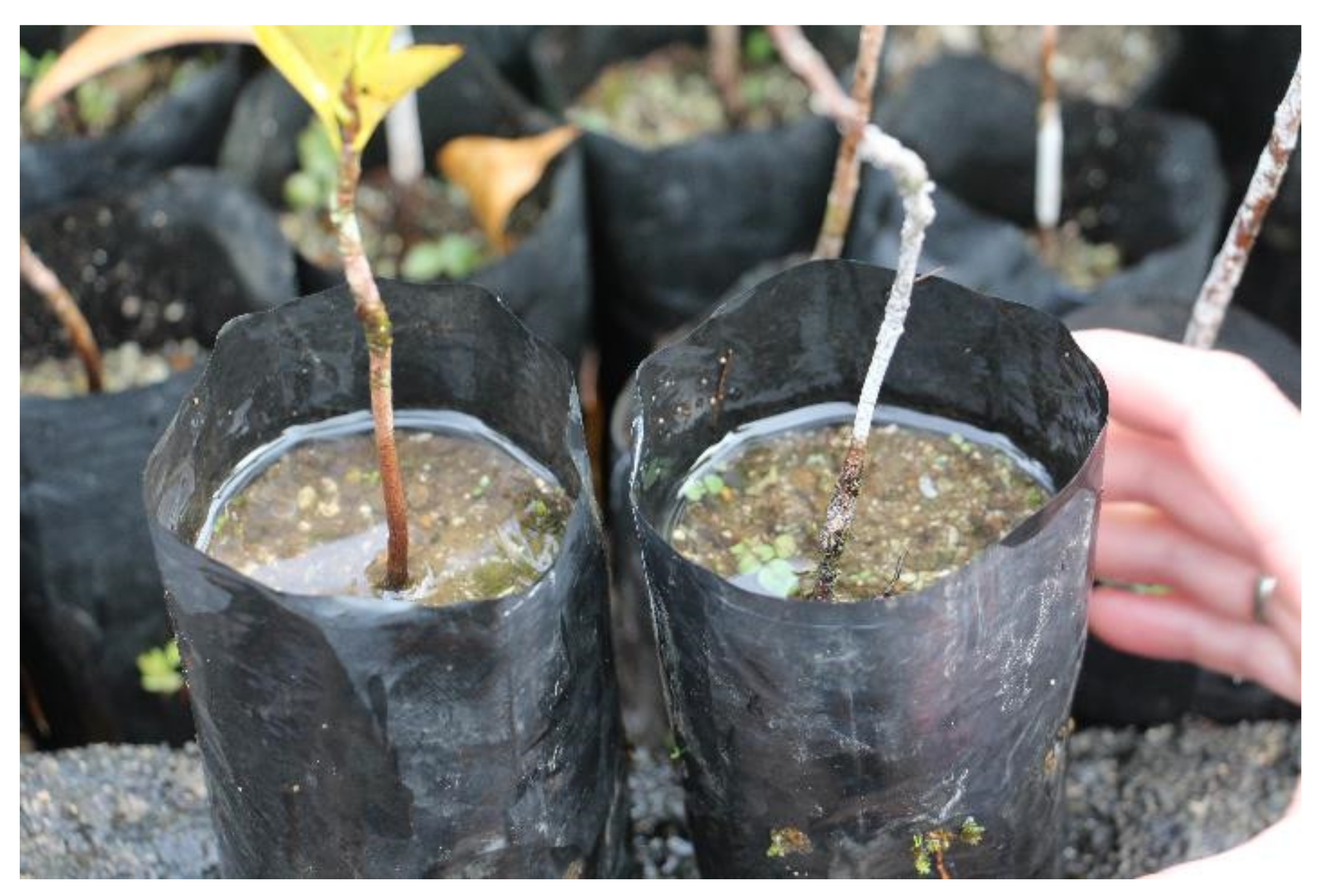 Land 10 00826 g003 Land 10 00826 g003