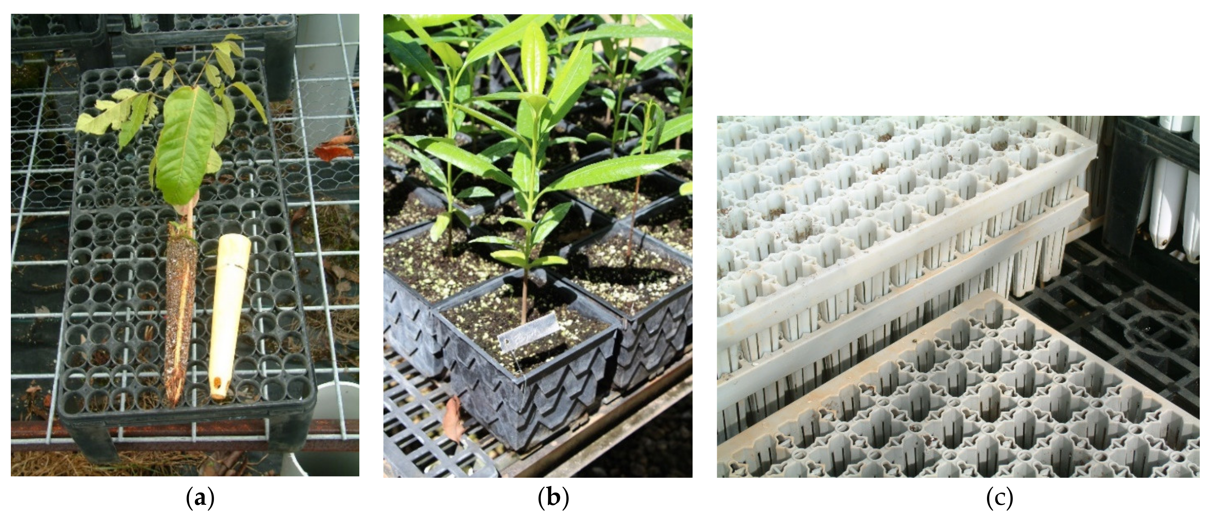 Land 10 00826 g004 Land 10 00826 g004