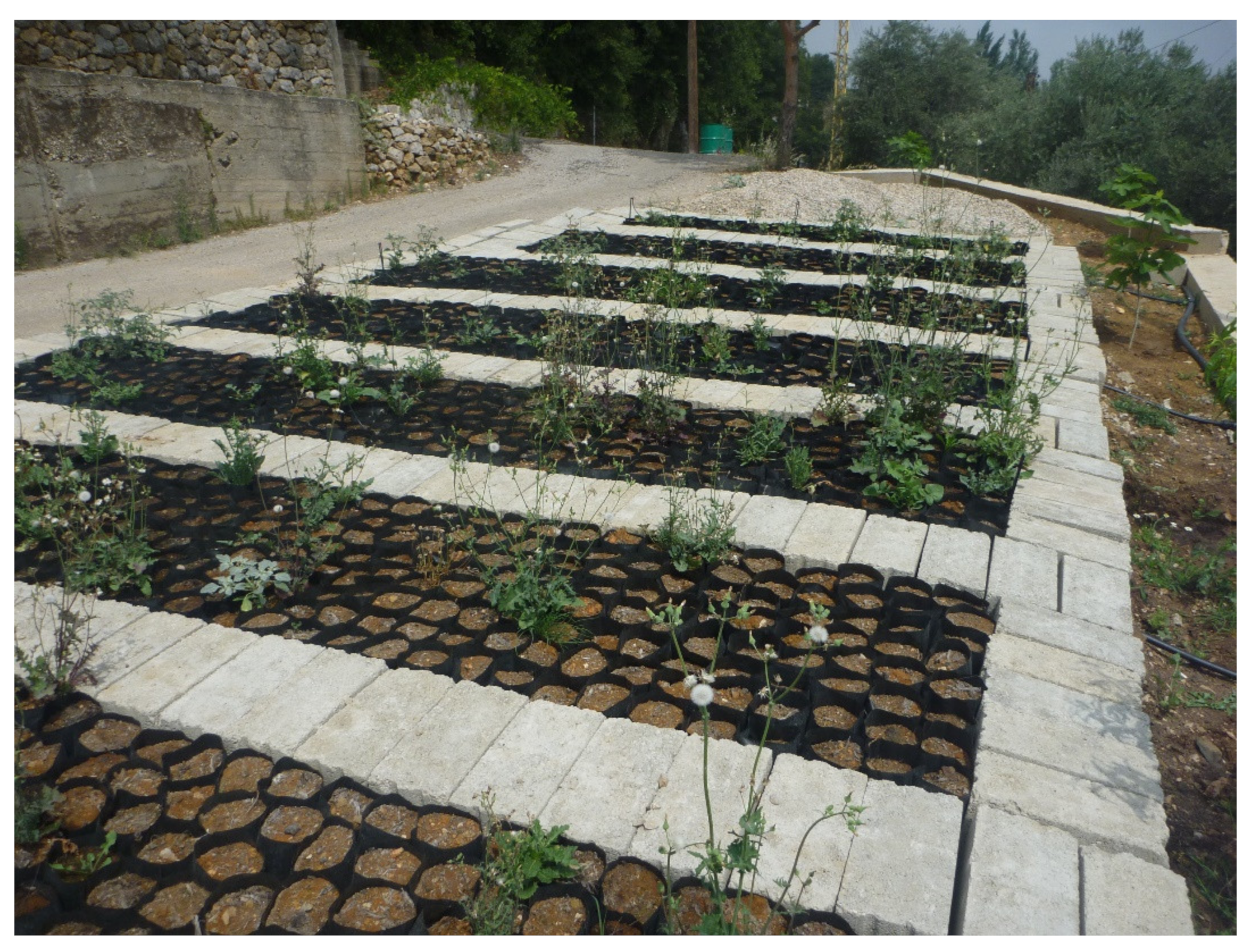 Land 10 00826 g007 Land 10 00826 g007