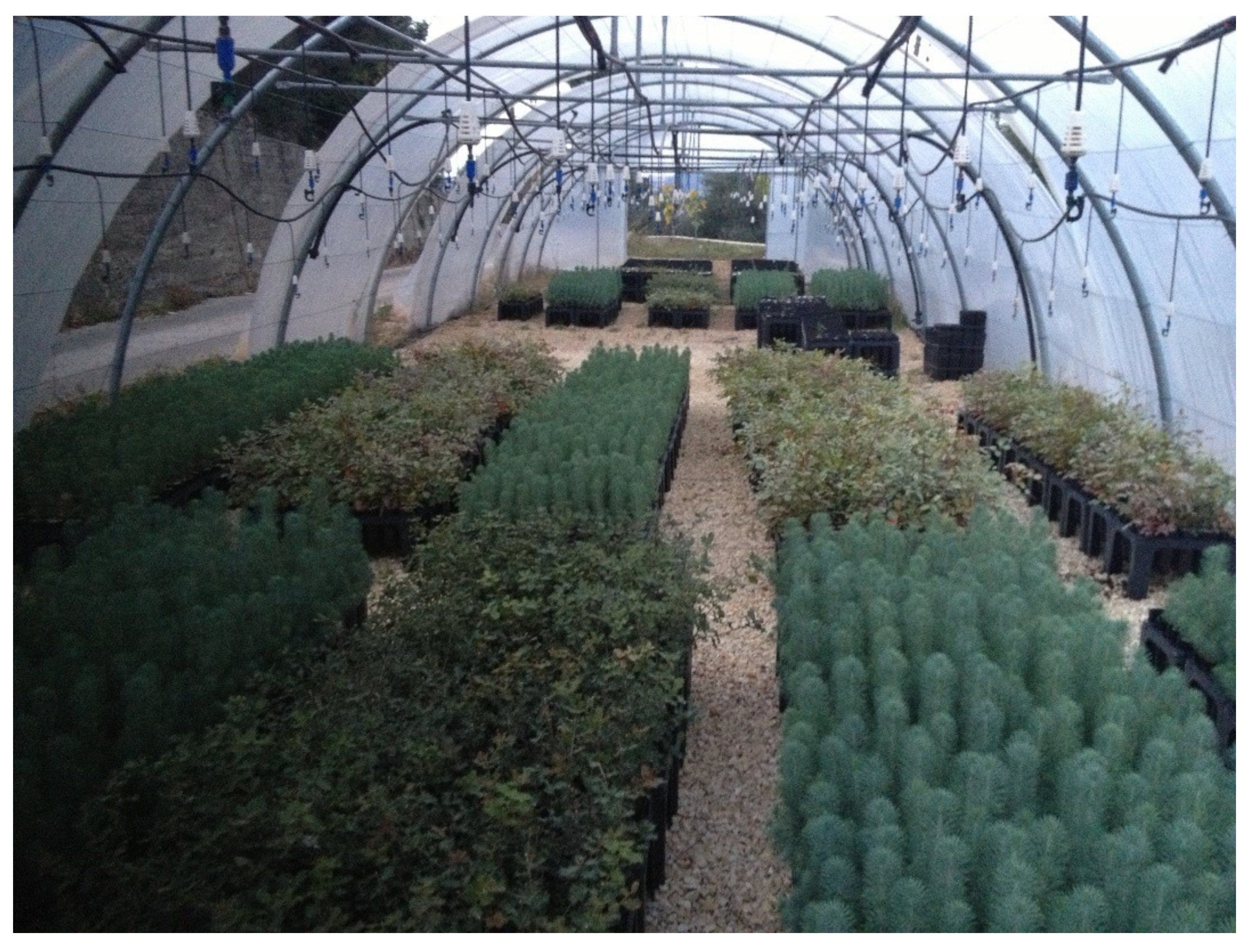 Land 10 00826 g008 Land 10 00826 g008