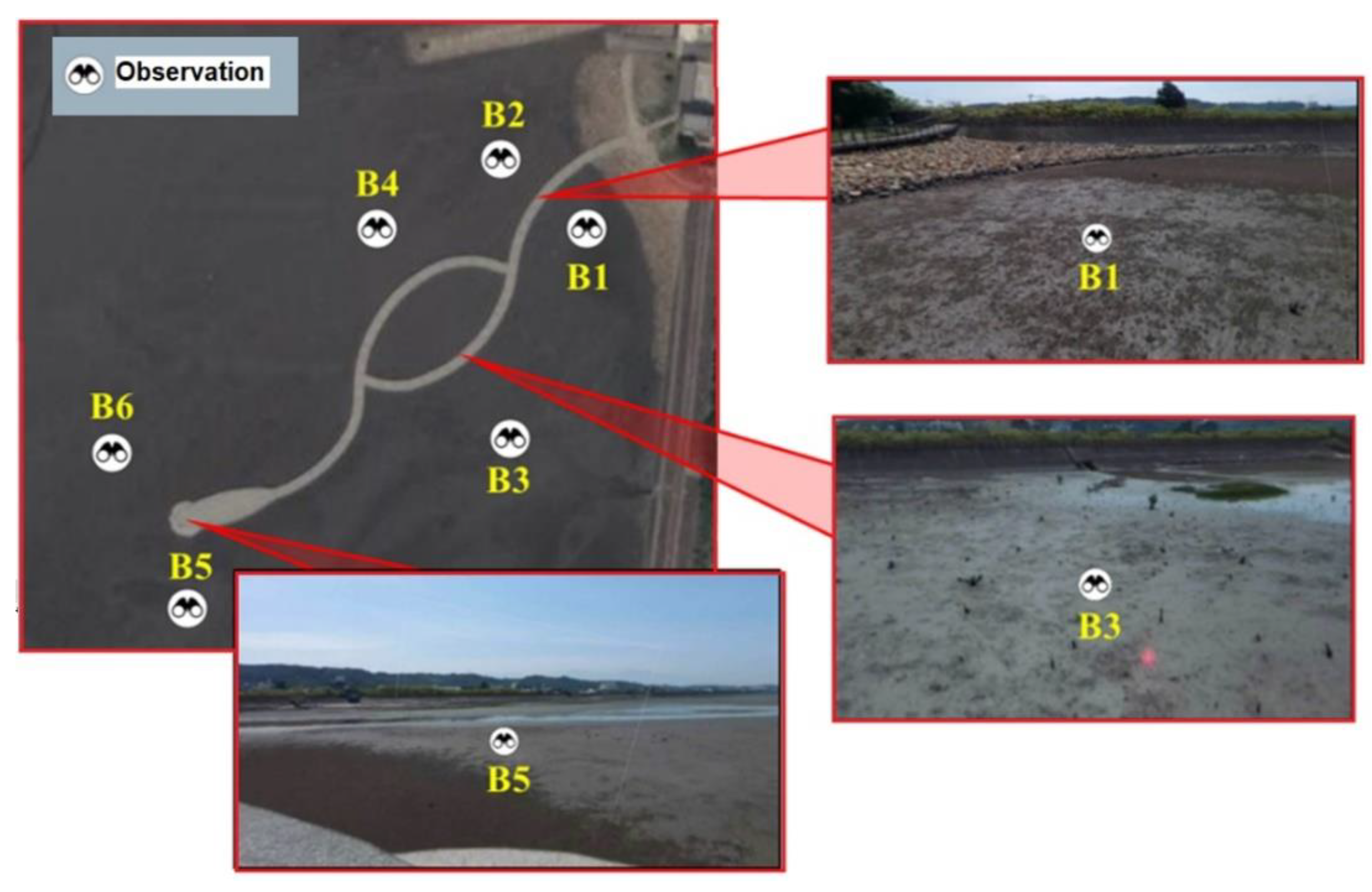 Land 10 00829 g004 550