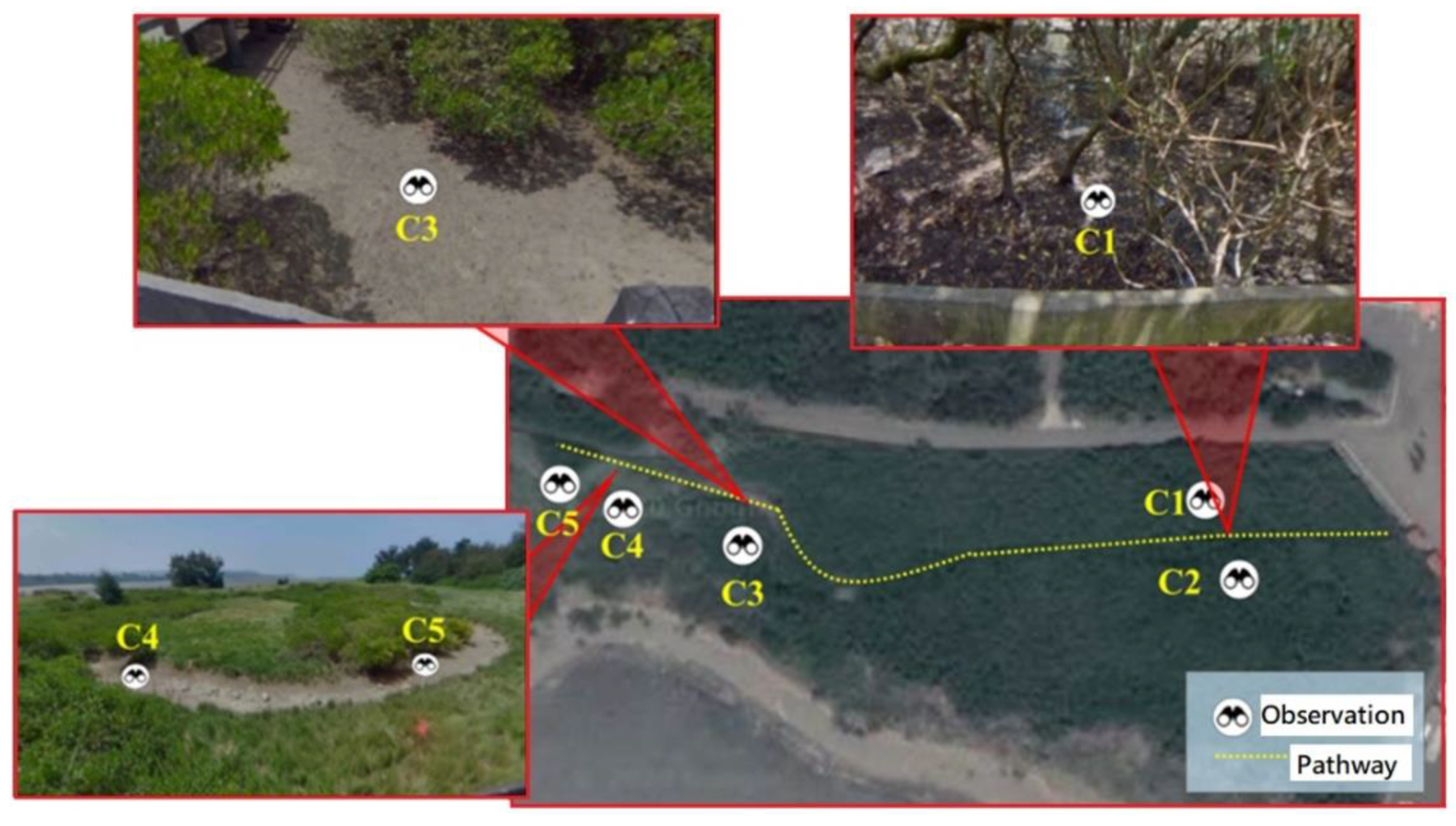 Land 10 00829 g005 550