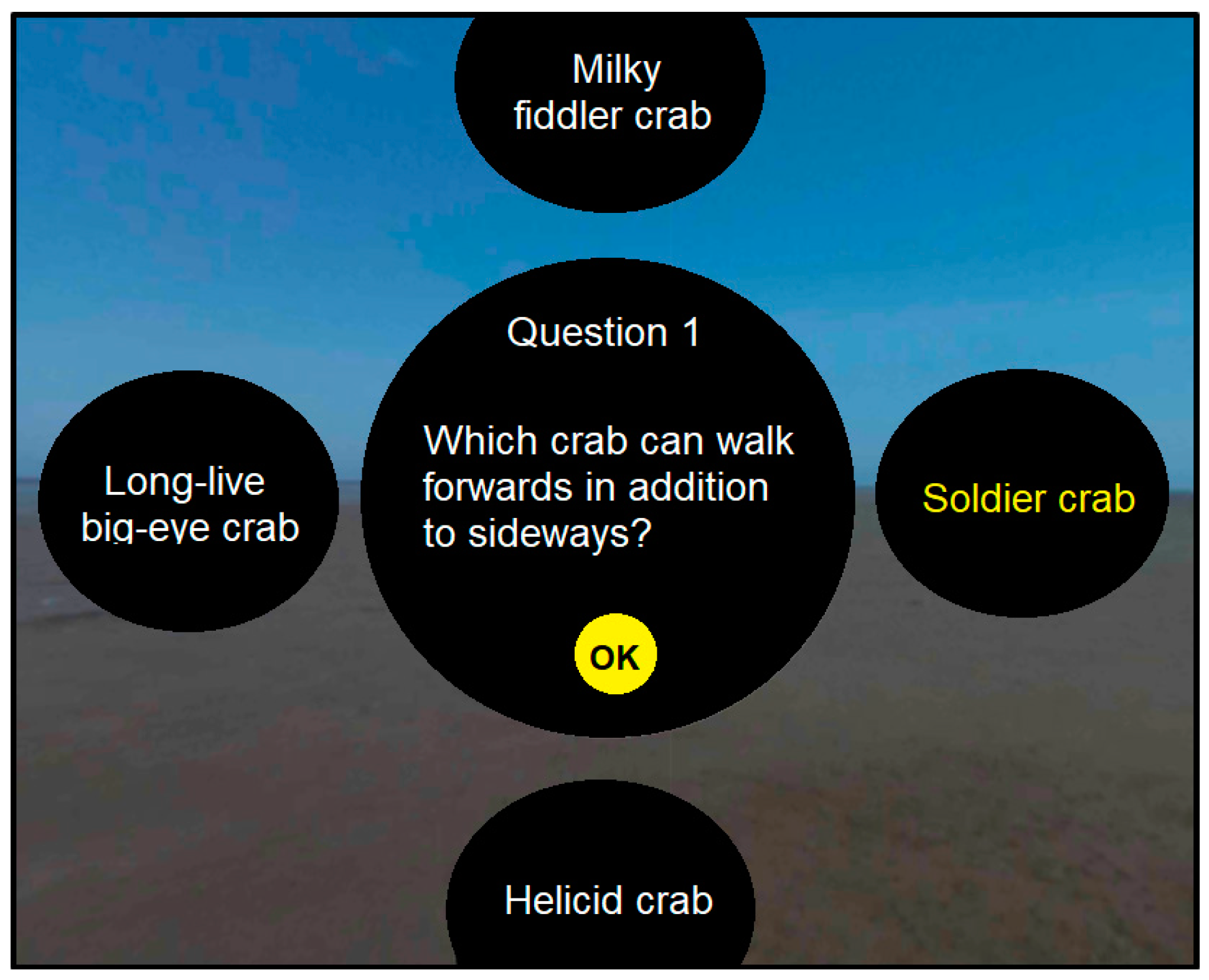 Land 10 00829 g010 550