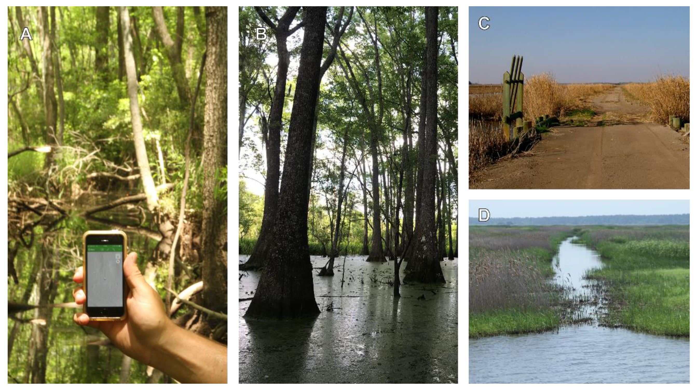 Land 10 00831 g003 550