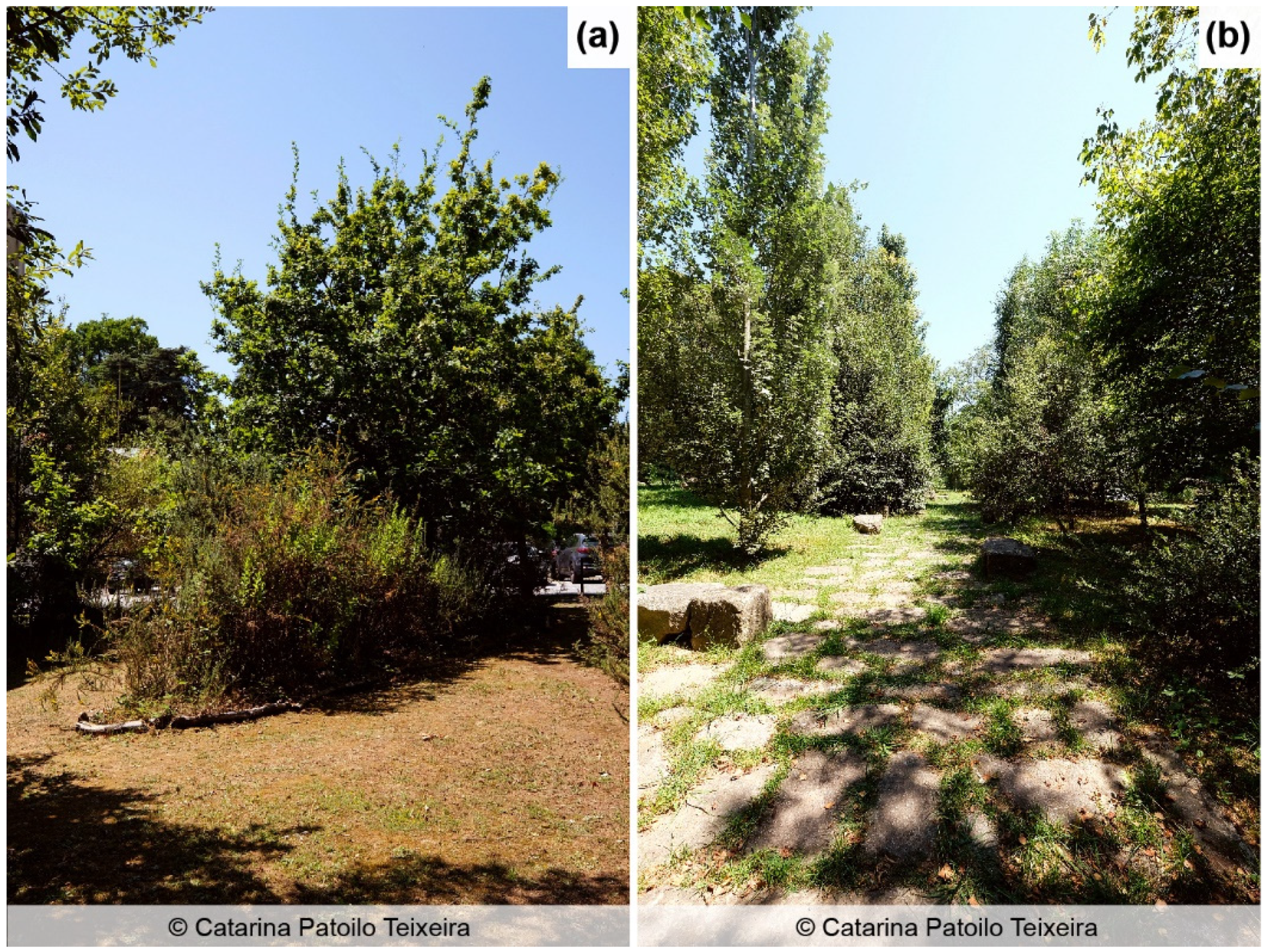 Land 10 00844 g002 Land 10 00844 g002