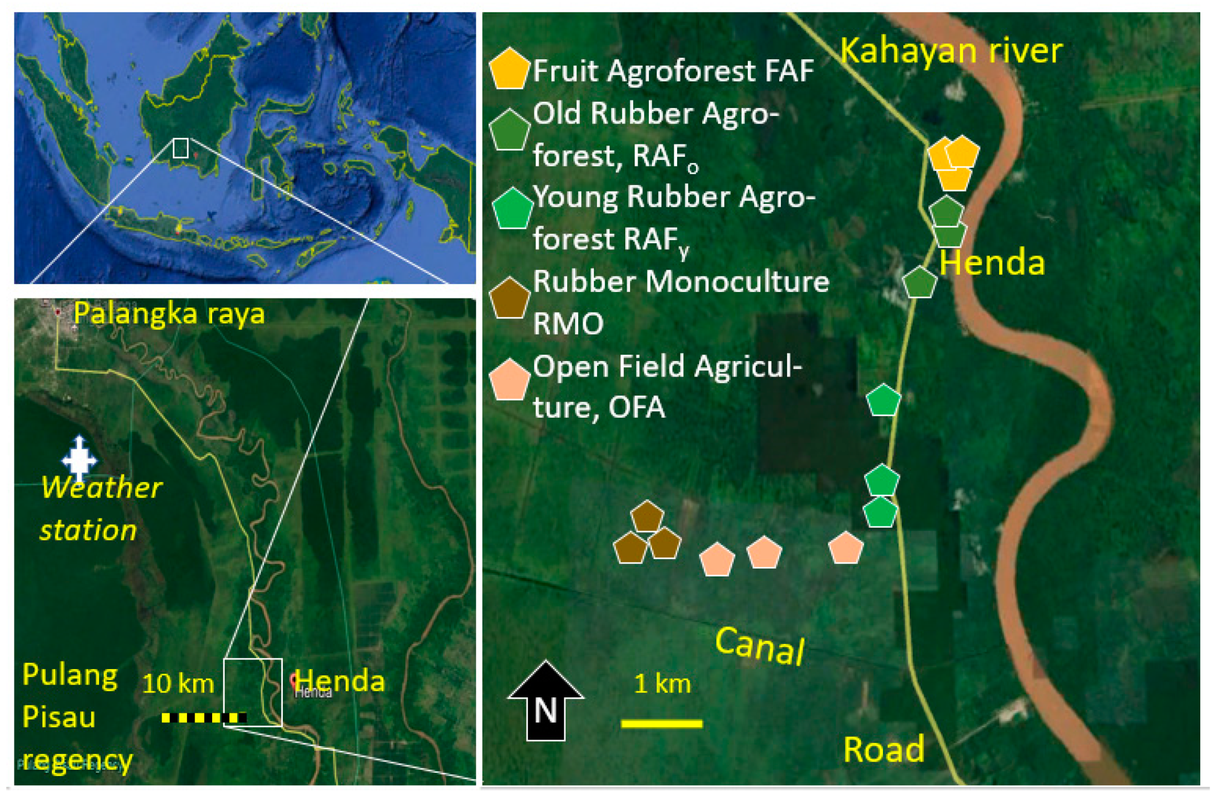 Land 10 00856 g001 Land 10 00856 g001