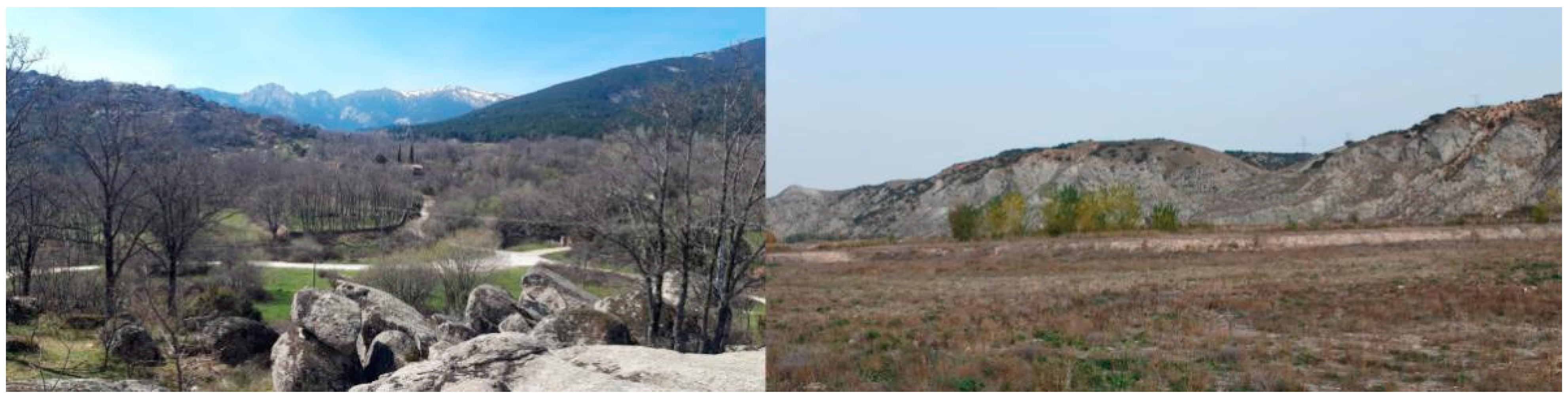 Land 10 00887 g001 550